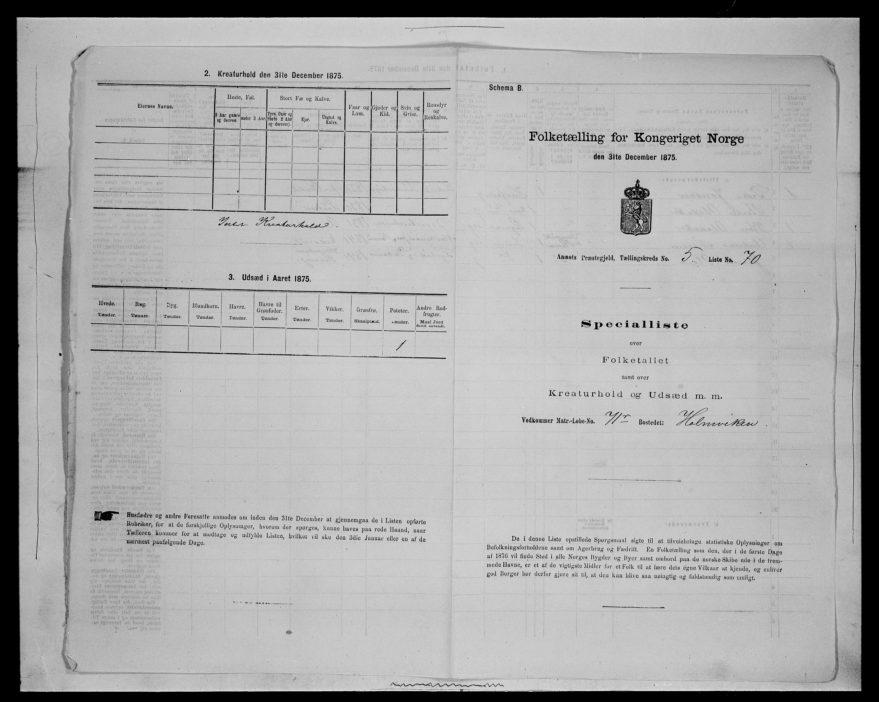 SAH, Folketelling 1875 for 0429P Åmot prestegjeld, 1875, s. 873