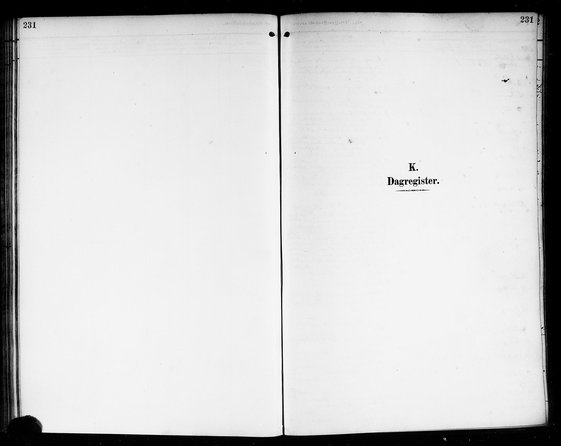 Nedre Eiker kirkebøker, SAKO/A-612/F/Fa/L0004: Ministerialbok nr. 4, 1893-1898, s. 231
