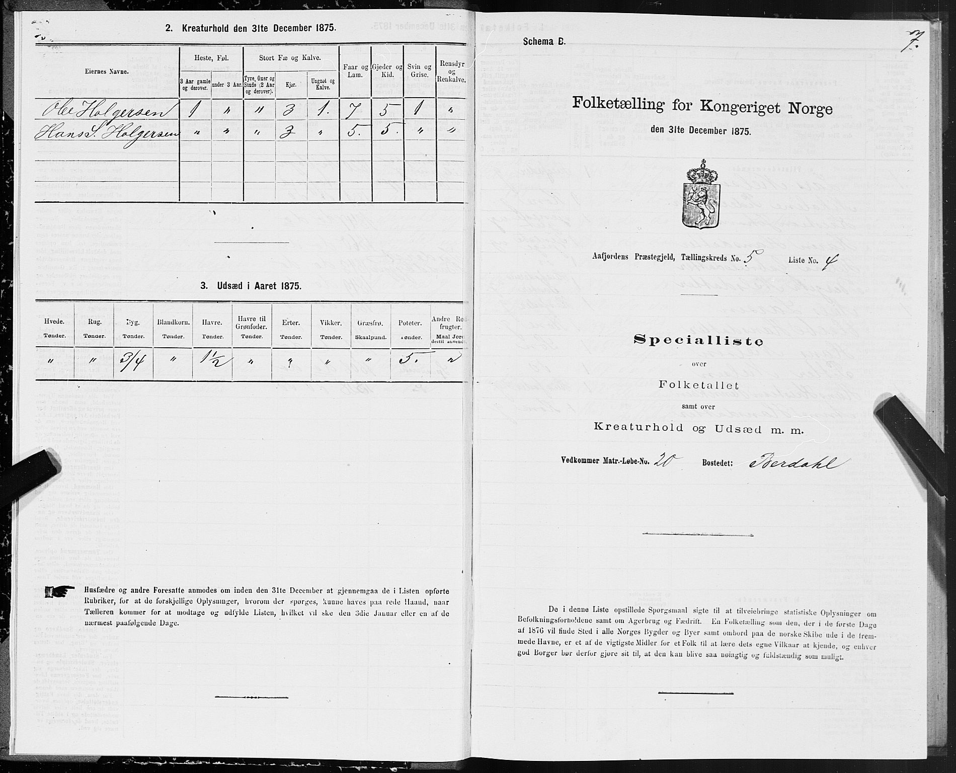 SAT, Folketelling 1875 for 1630P Aafjorden prestegjeld, 1875, s. 3007