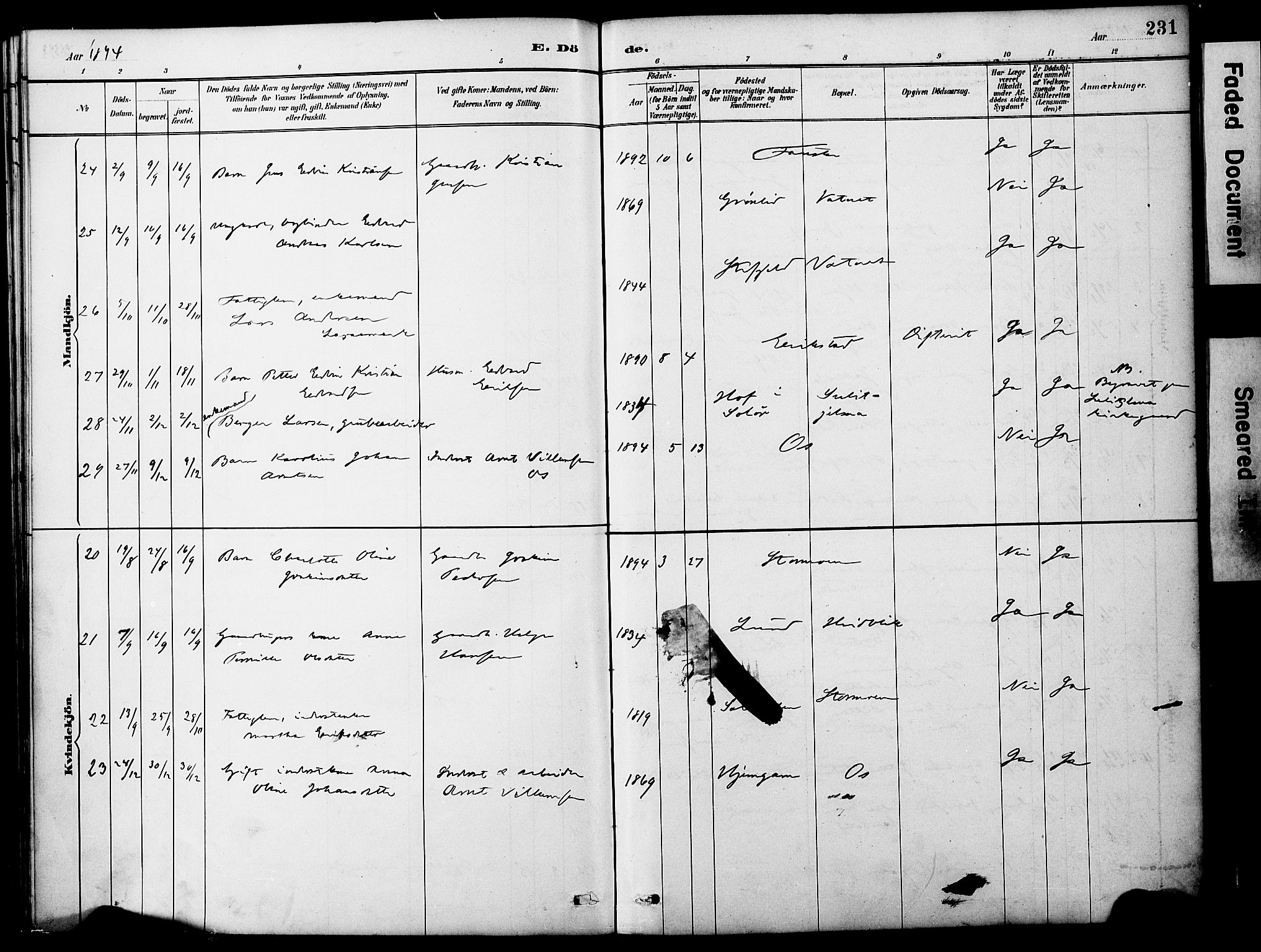 Ministerialprotokoller, klokkerbøker og fødselsregistre - Nordland, AV/SAT-A-1459/849/L0690: Ministerialbok nr. 849A02, 1890-1897, s. 231