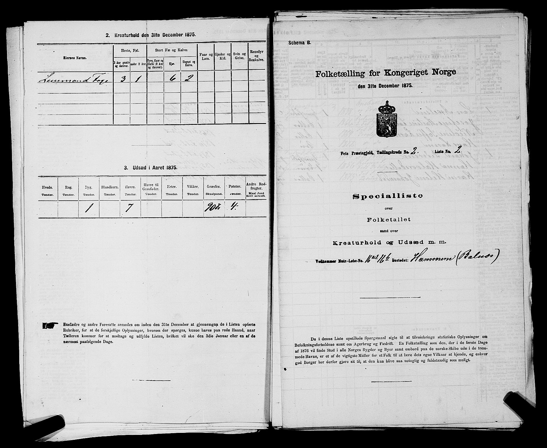 RA, Folketelling 1875 for 0227P Fet prestegjeld, 1875, s. 209