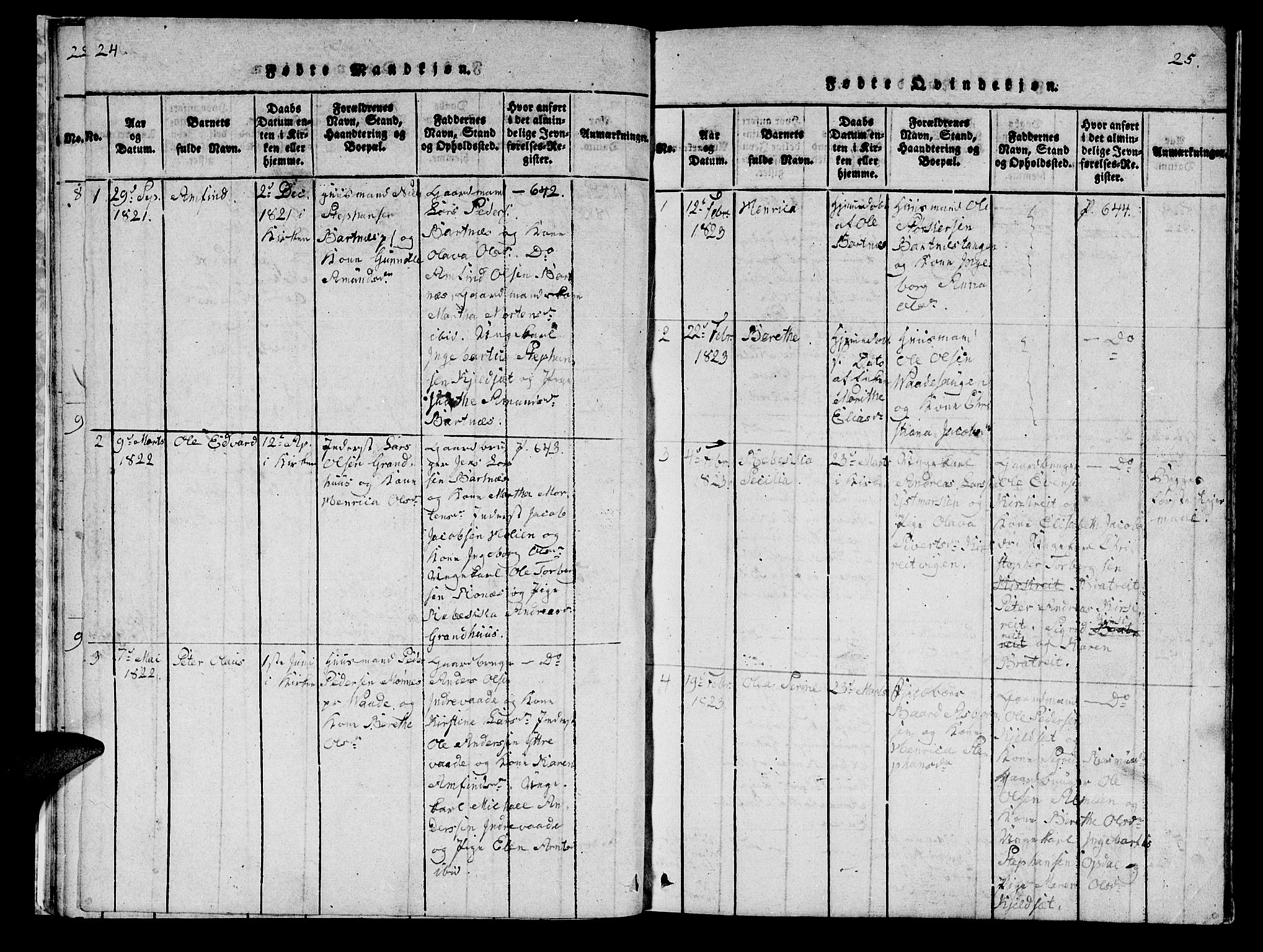 Ministerialprotokoller, klokkerbøker og fødselsregistre - Nord-Trøndelag, SAT/A-1458/745/L0433: Klokkerbok nr. 745C02, 1817-1825, s. 24-25