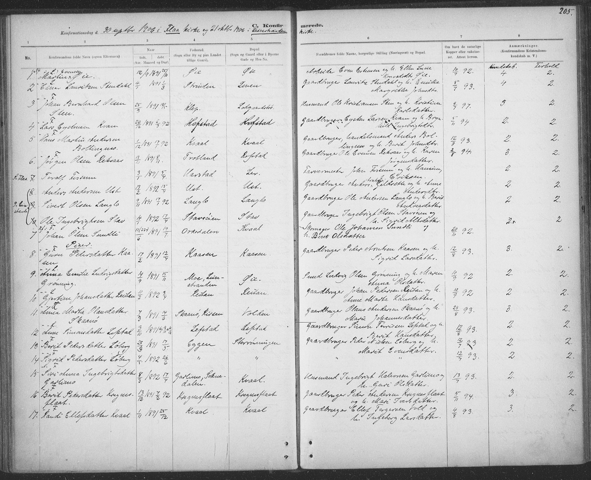 Ministerialprotokoller, klokkerbøker og fødselsregistre - Sør-Trøndelag, SAT/A-1456/691/L1085: Ministerialbok nr. 691A17, 1887-1908, s. 205