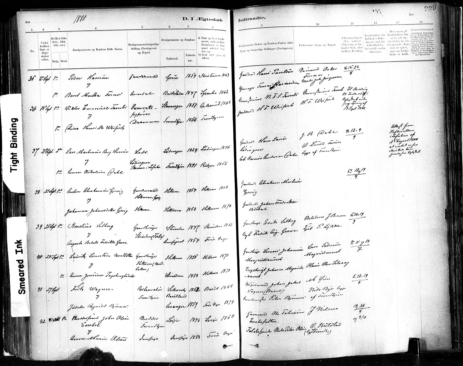 Ministerialprotokoller, klokkerbøker og fødselsregistre - Sør-Trøndelag, SAT/A-1456/602/L0119: Ministerialbok nr. 602A17, 1880-1901, s. 239