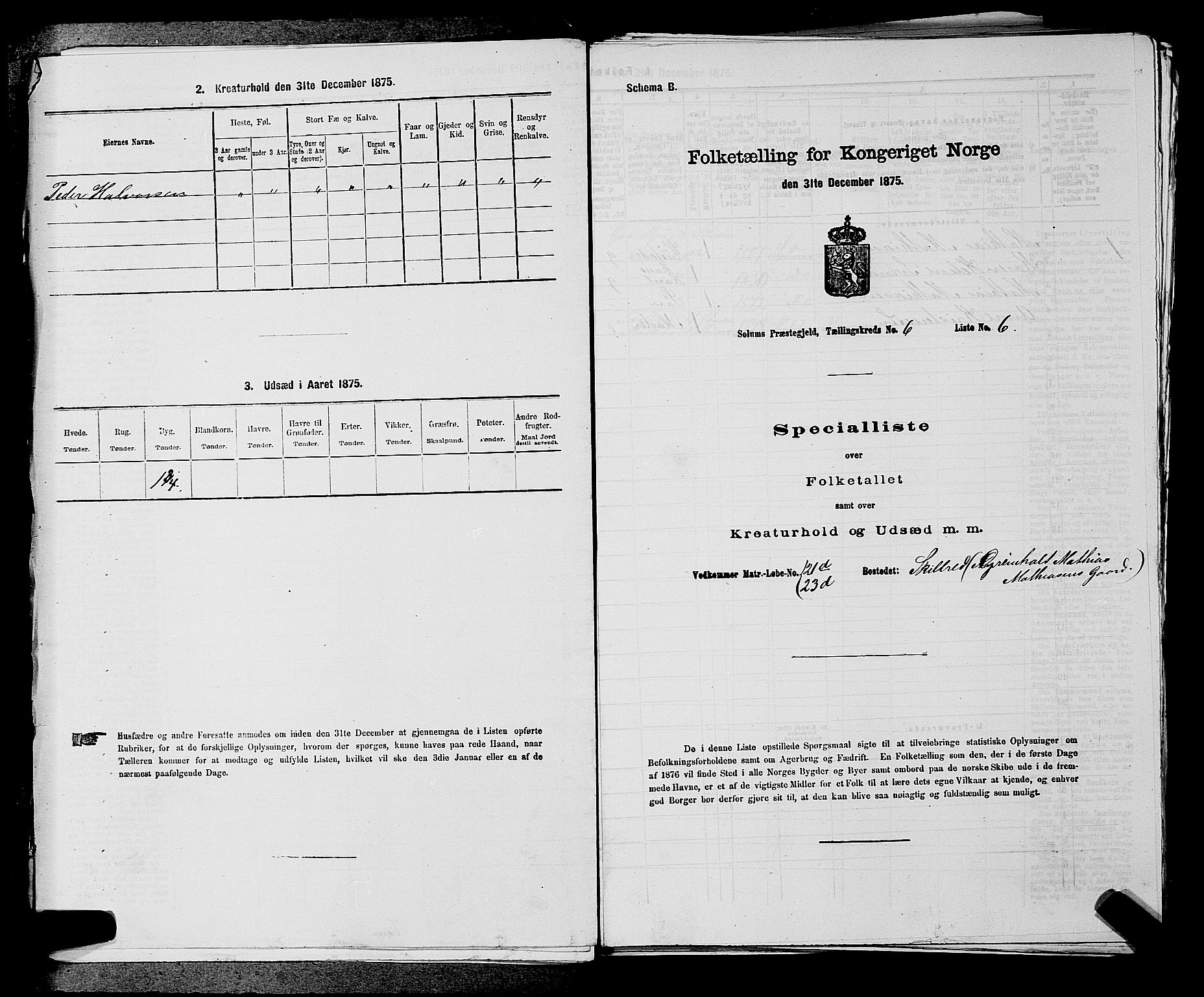 SAKO, Folketelling 1875 for 0818P Solum prestegjeld, 1875, s. 1002