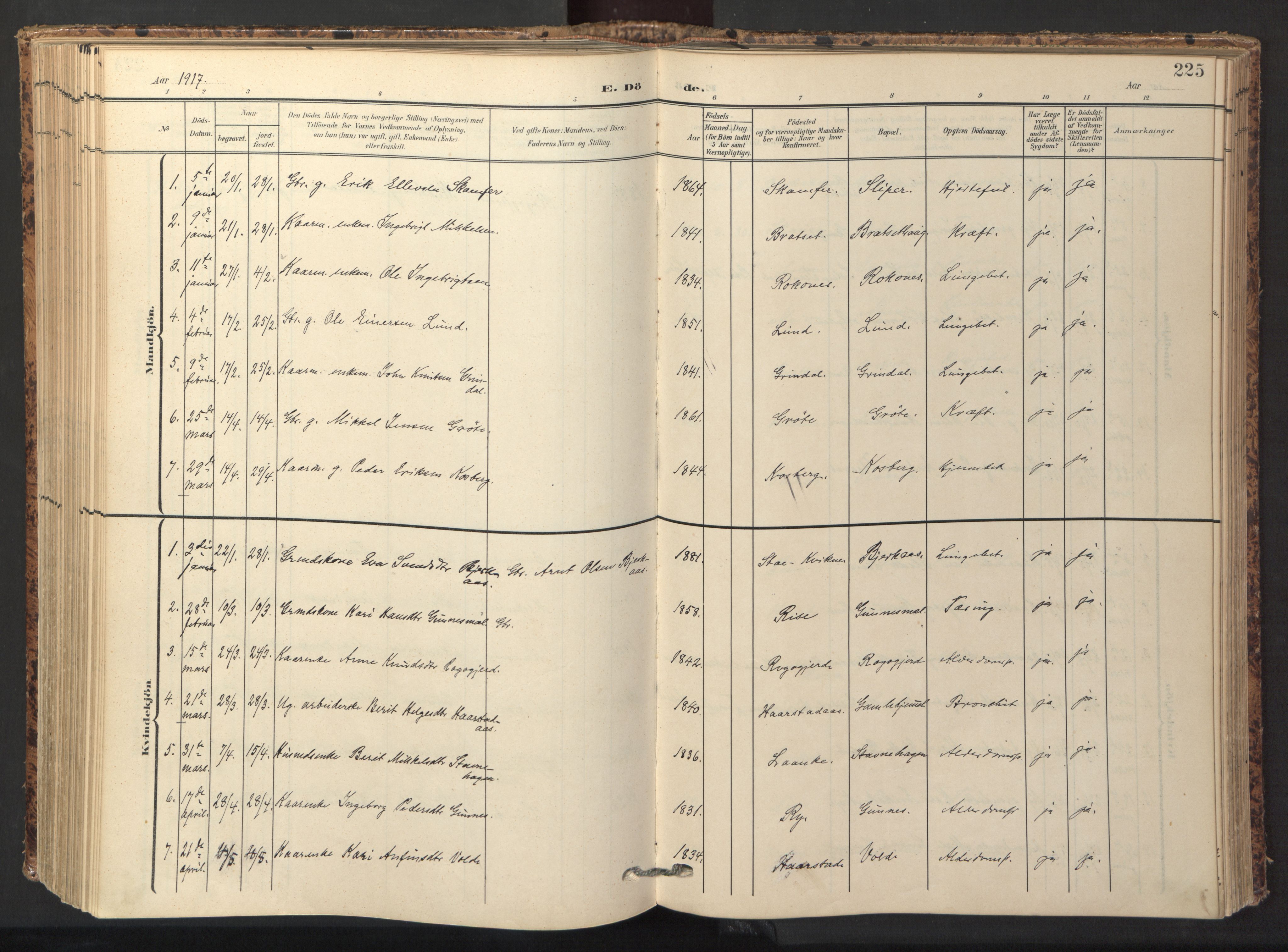 Ministerialprotokoller, klokkerbøker og fødselsregistre - Sør-Trøndelag, AV/SAT-A-1456/674/L0873: Ministerialbok nr. 674A05, 1908-1923, s. 225