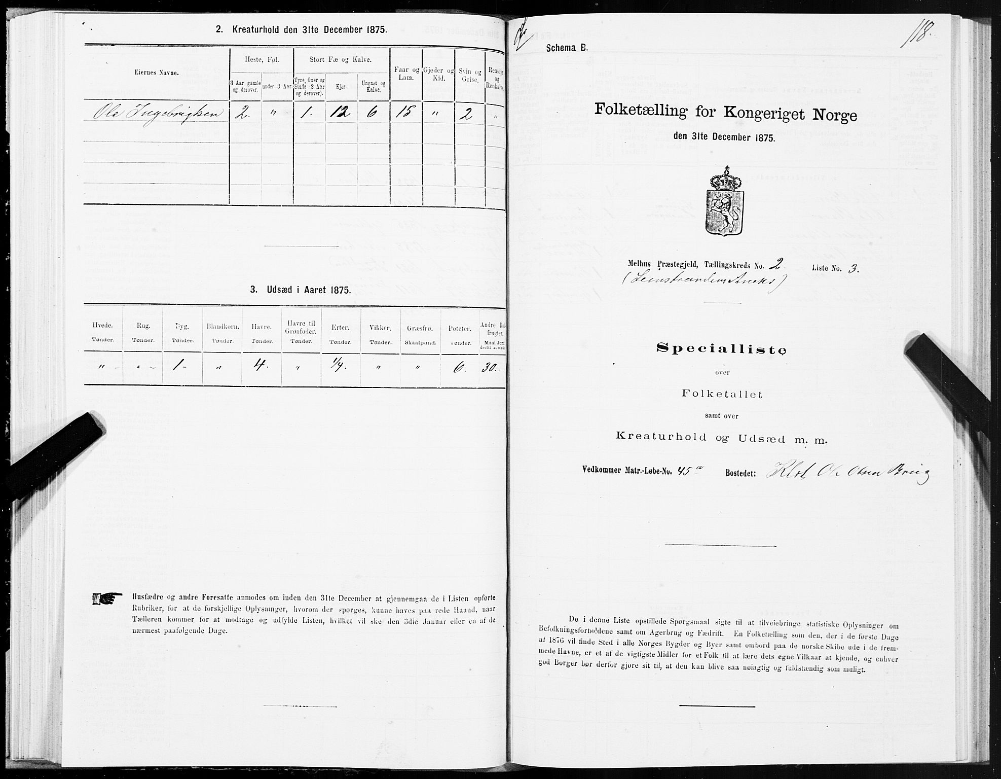 SAT, Folketelling 1875 for 1653P Melhus prestegjeld, 1875, s. 8118