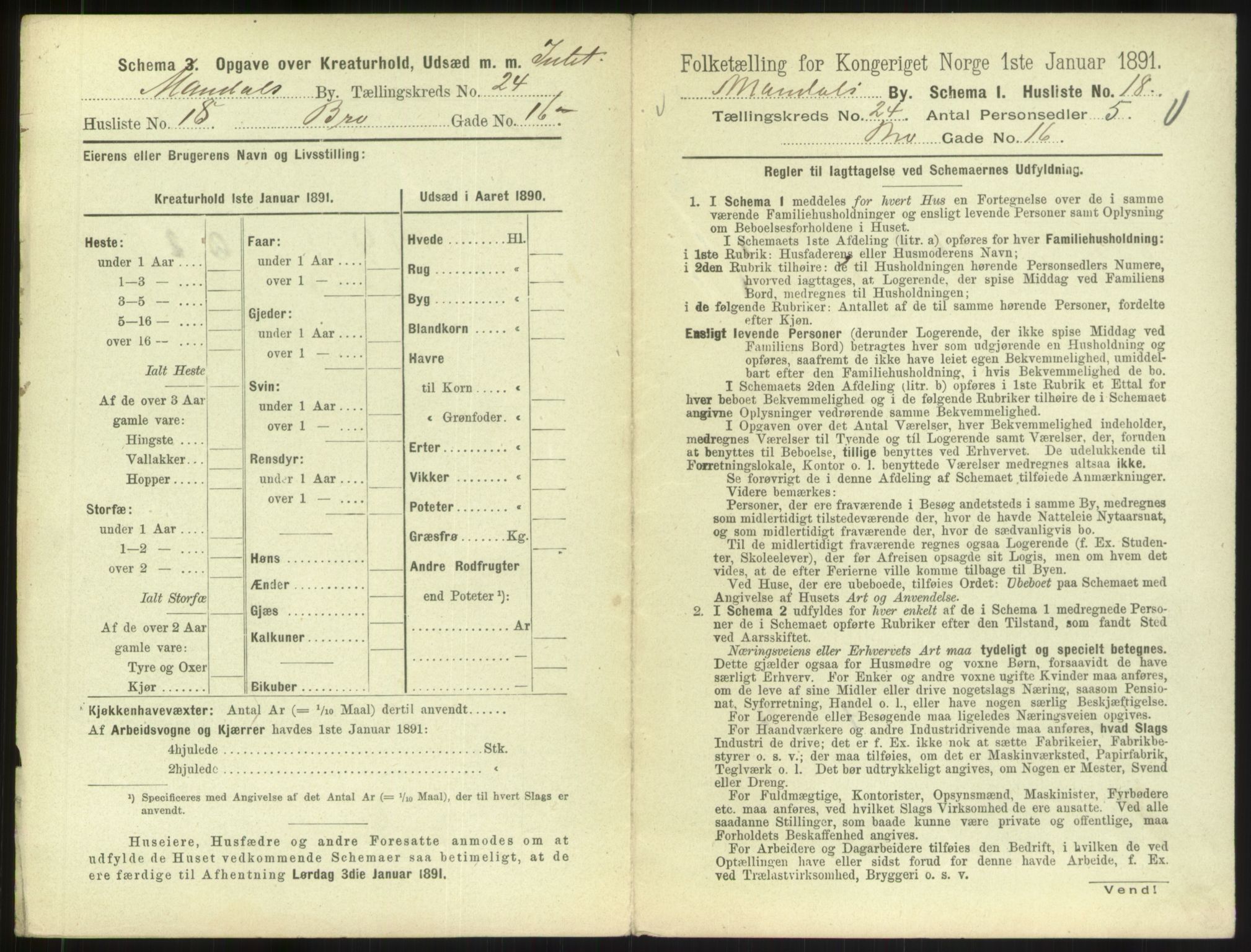 RA, Folketelling 1891 for 1002 Mandal ladested, 1891, s. 1099