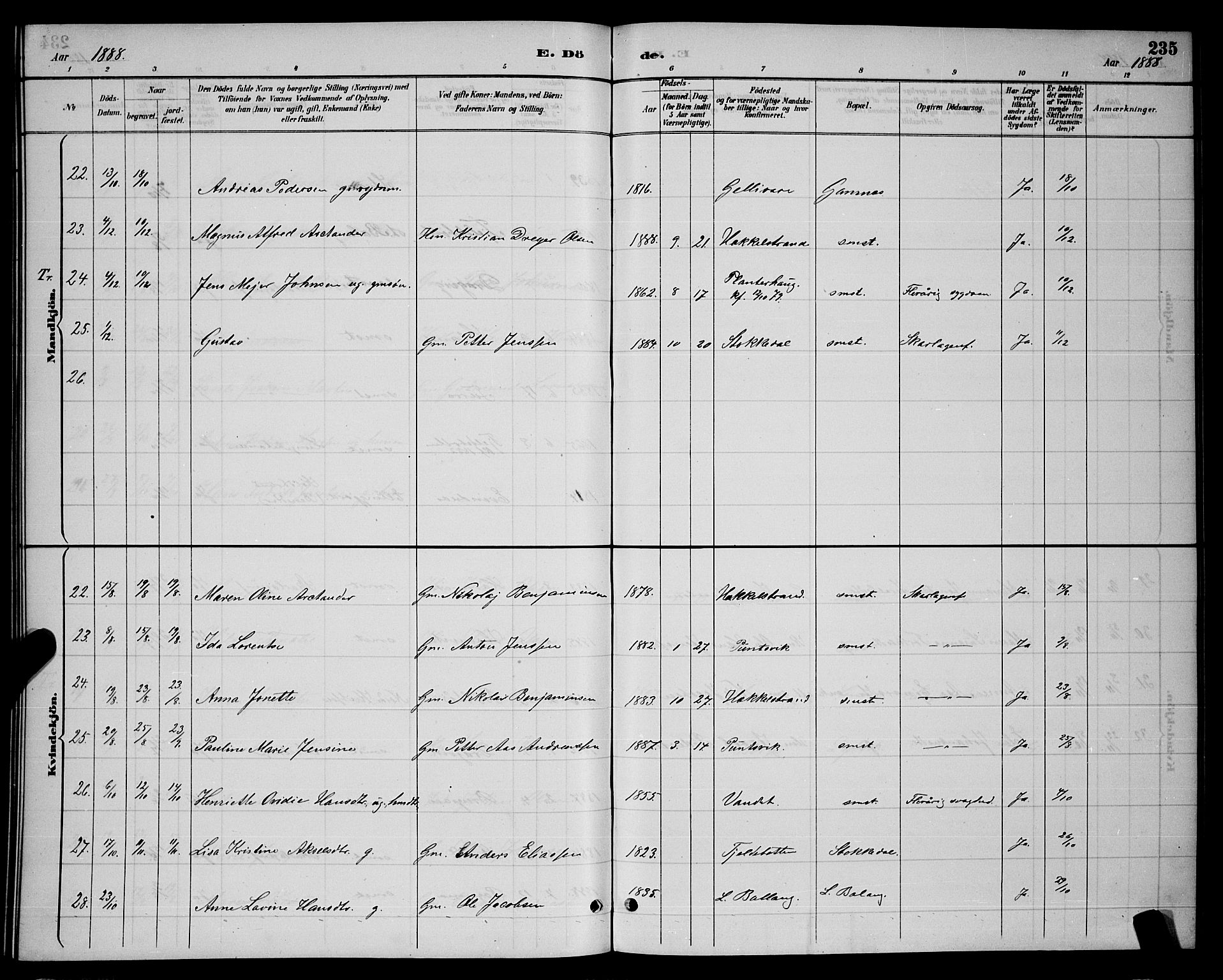 Ministerialprotokoller, klokkerbøker og fødselsregistre - Nordland, AV/SAT-A-1459/863/L0914: Klokkerbok nr. 863C04, 1886-1897, s. 235