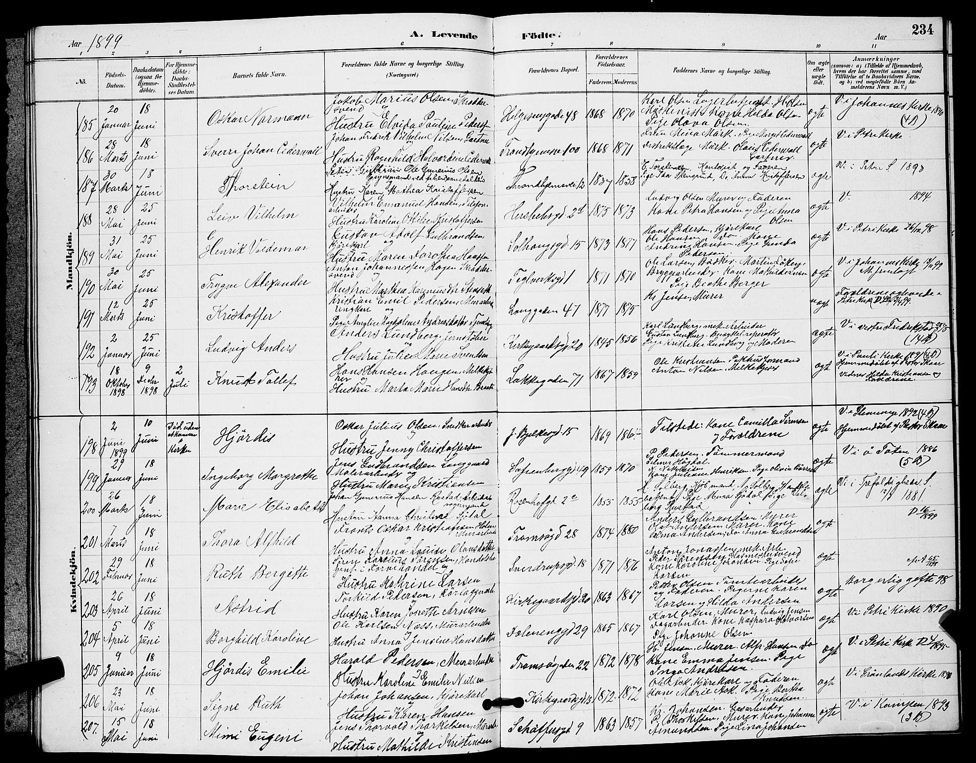 Petrus prestekontor Kirkebøker, AV/SAO-A-10872/G/Ga/L0002: Klokkerbok nr. 2, 1888-1899, s. 234