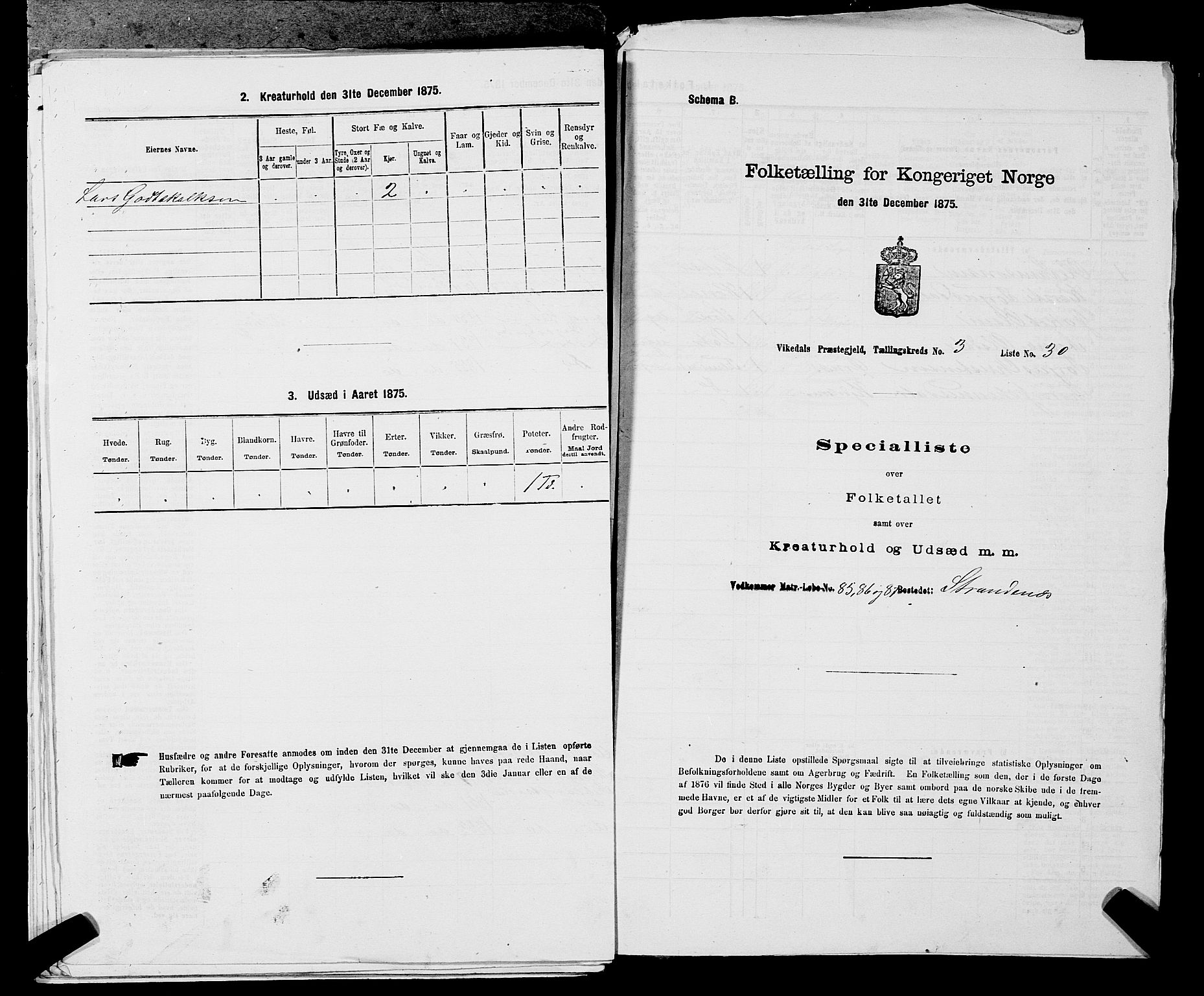 SAST, Folketelling 1875 for 1157P Vikedal prestegjeld, 1875, s. 399