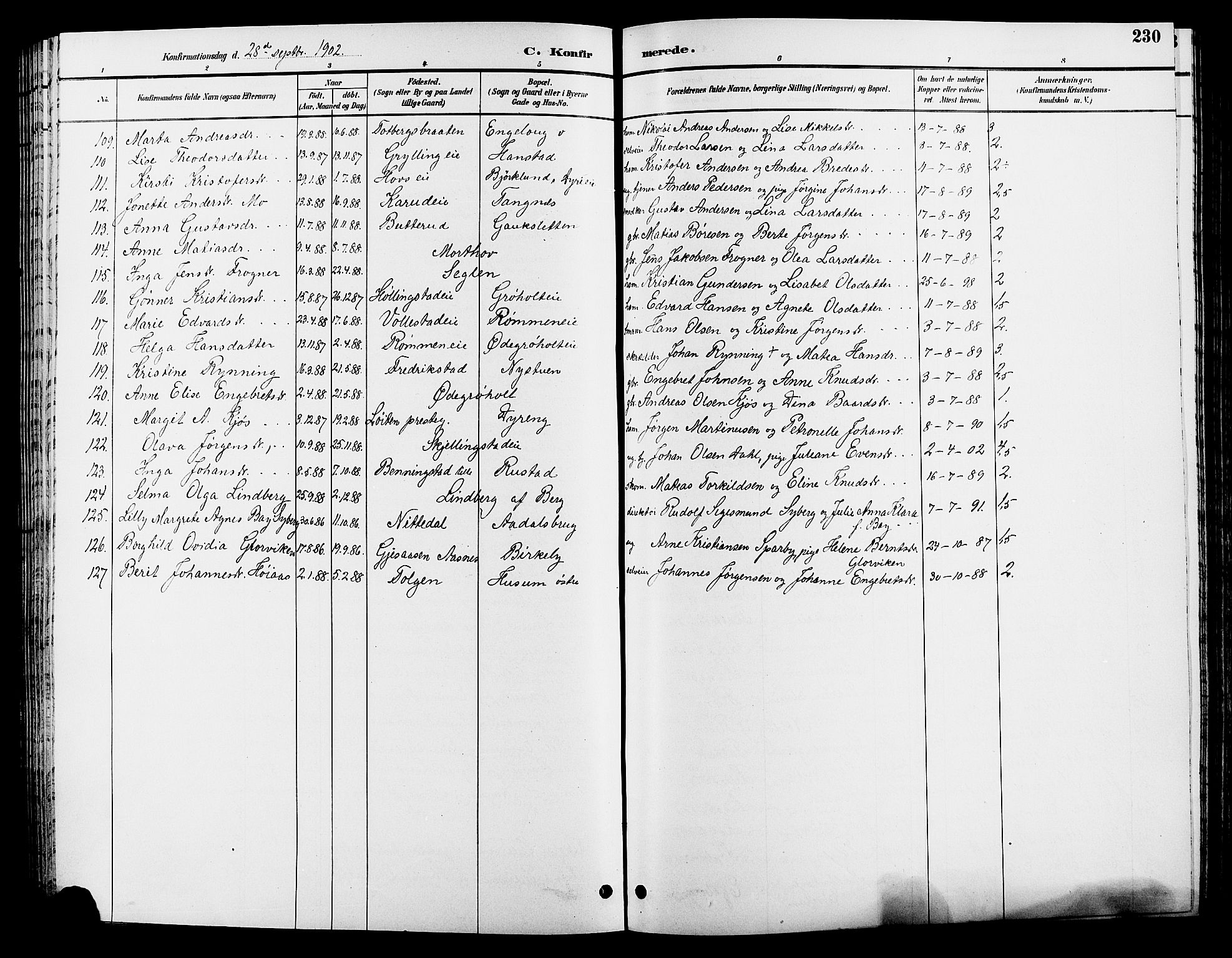 Løten prestekontor, AV/SAH-PREST-022/L/La/L0006: Klokkerbok nr. 6, 1892-1909, s. 230
