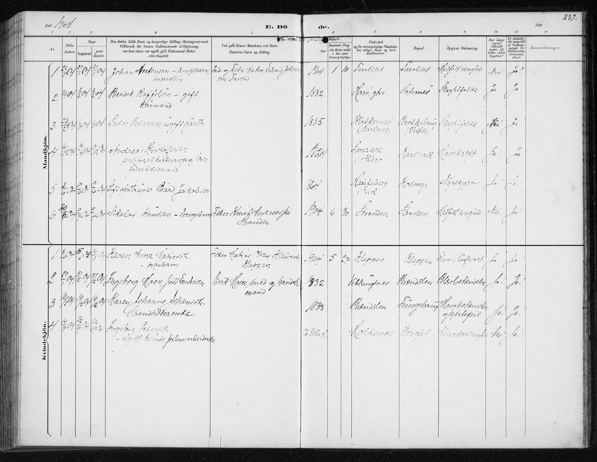 Ministerialprotokoller, klokkerbøker og fødselsregistre - Møre og Romsdal, SAT/A-1454/566/L0773: Klokkerbok nr. 566C02, 1892-1909, s. 237