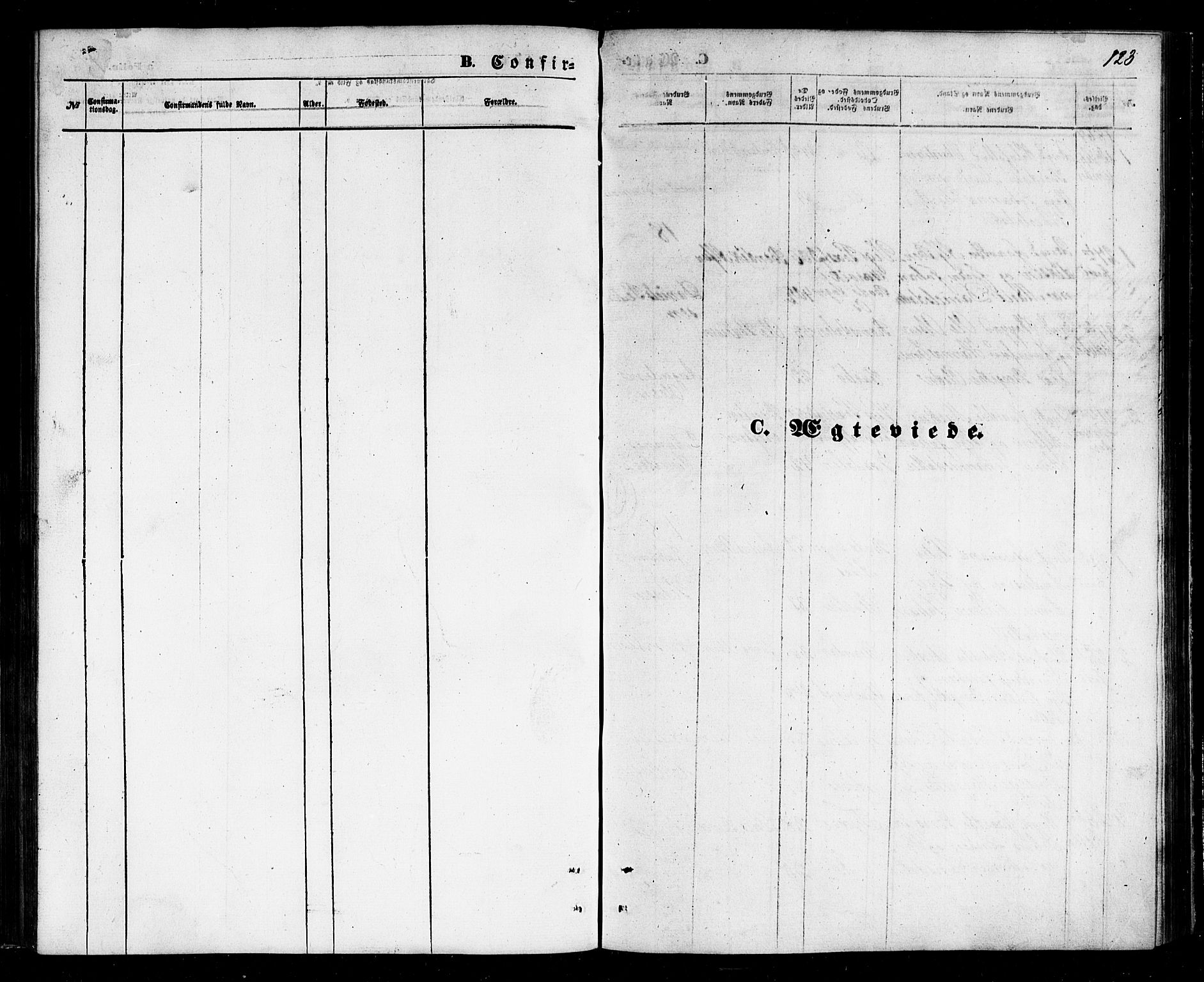 Ministerialprotokoller, klokkerbøker og fødselsregistre - Nordland, SAT/A-1459/803/L0075: Klokkerbok nr. 803C02, 1867-1881, s. 123