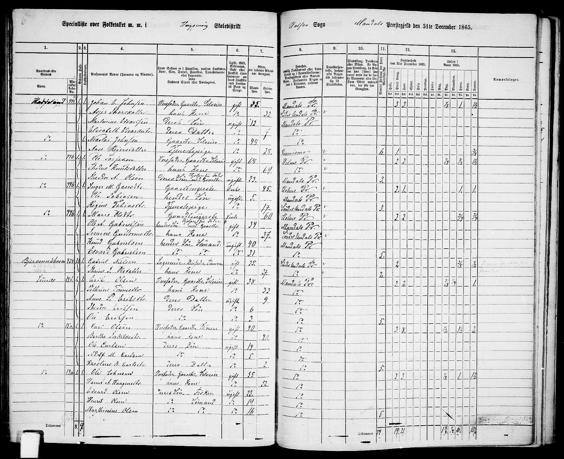 RA, Folketelling 1865 for 1019L Mandal prestegjeld, Halse sokn og Harkmark sokn, 1865, s. 102