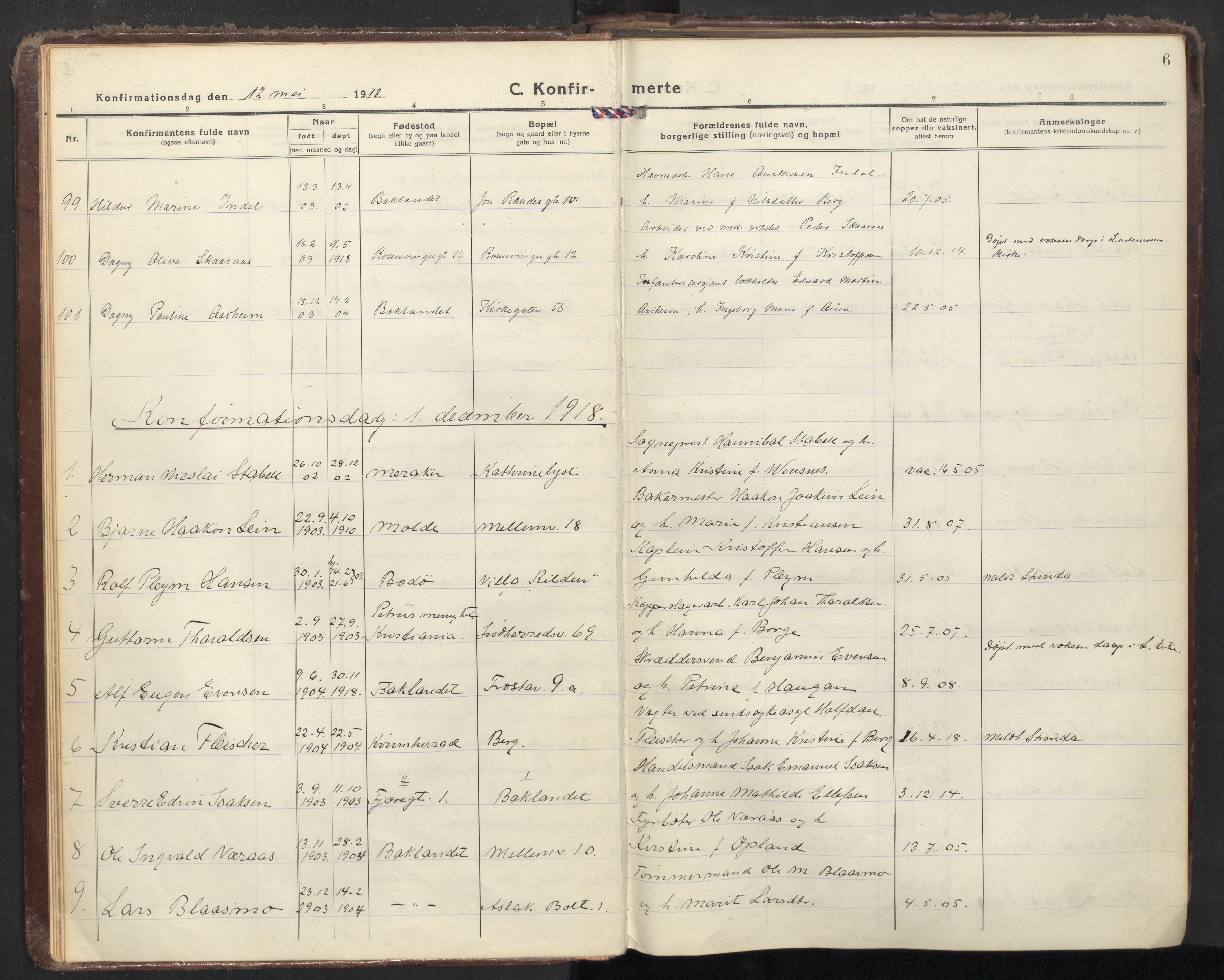 Ministerialprotokoller, klokkerbøker og fødselsregistre - Sør-Trøndelag, SAT/A-1456/605/L0247: Ministerialbok nr. 605A09, 1918-1930, s. 6