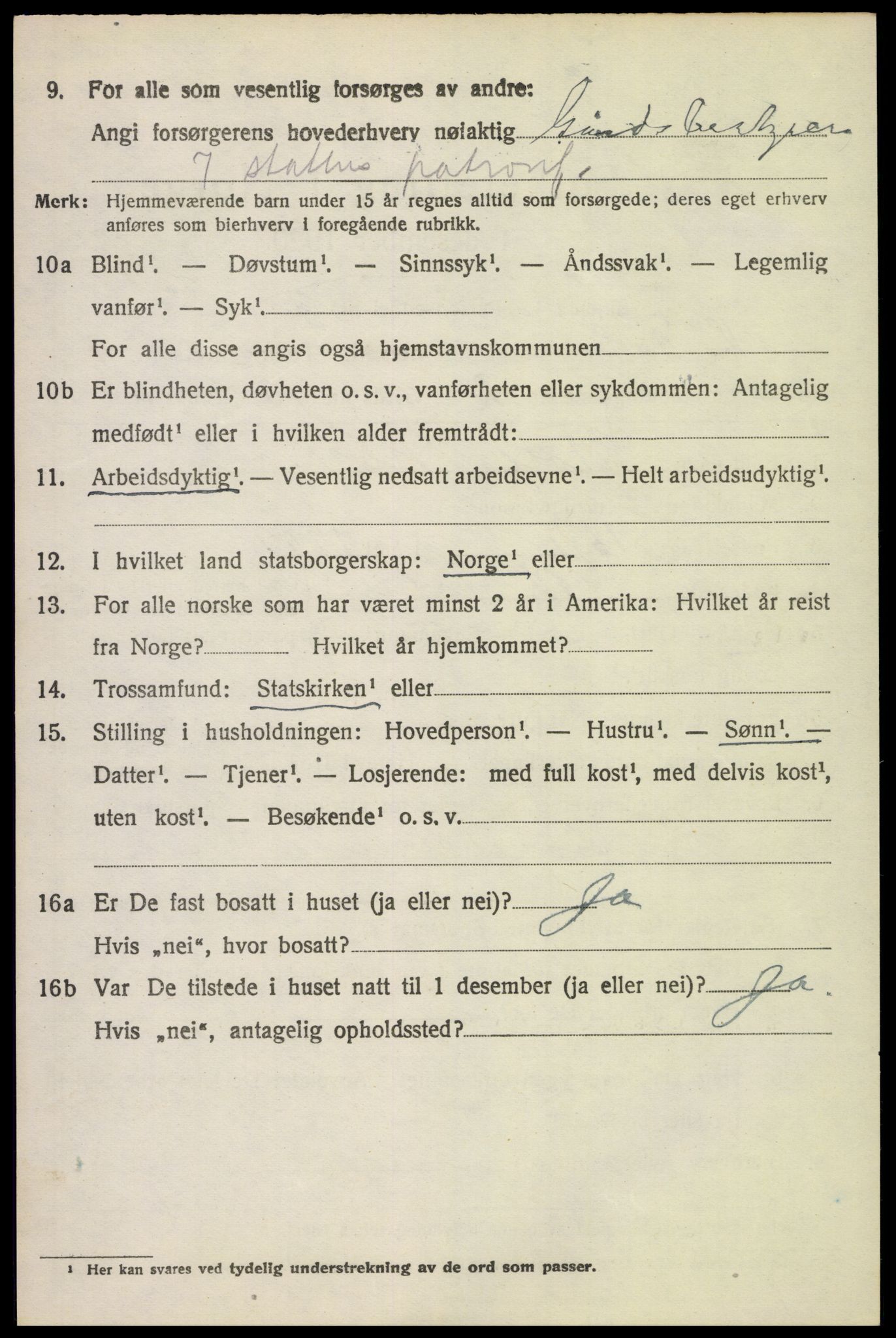 SAH, Folketelling 1920 for 0529 Vestre Toten herred, 1920, s. 11161
