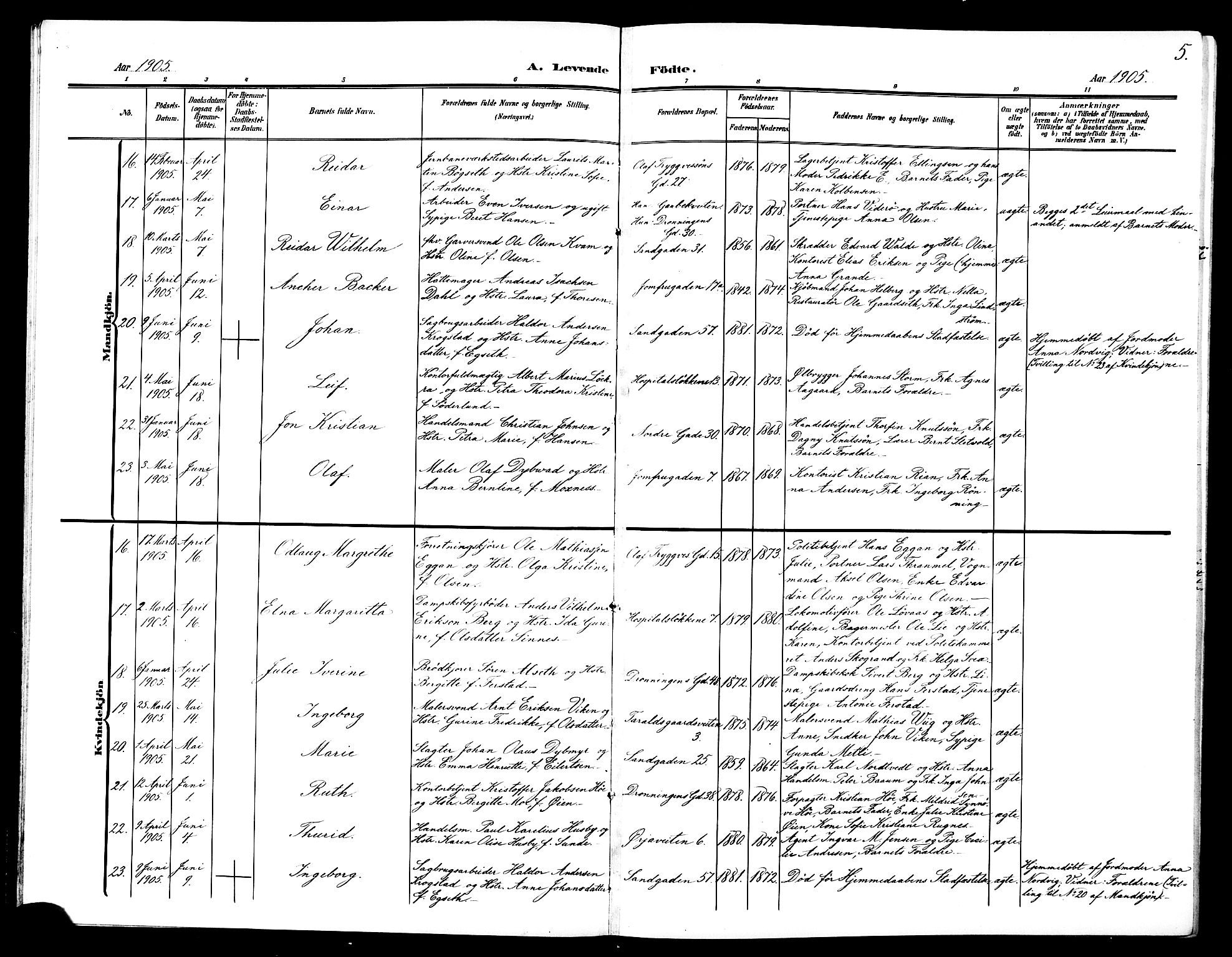 Ministerialprotokoller, klokkerbøker og fødselsregistre - Sør-Trøndelag, SAT/A-1456/602/L0146: Klokkerbok nr. 602C14, 1904-1914, s. 5