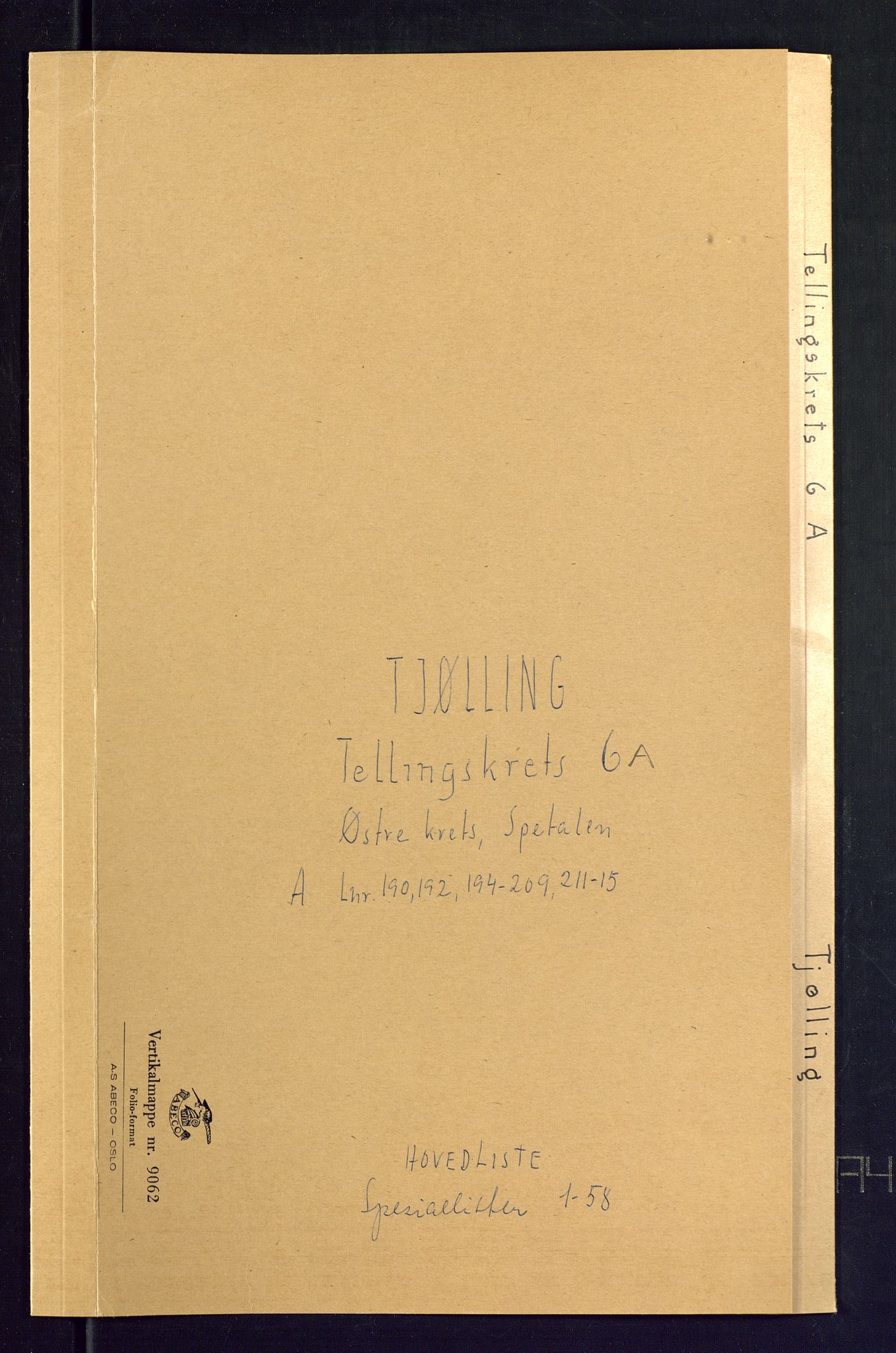 SAKO, Folketelling 1875 for 0725P Tjølling prestegjeld, 1875, s. 25