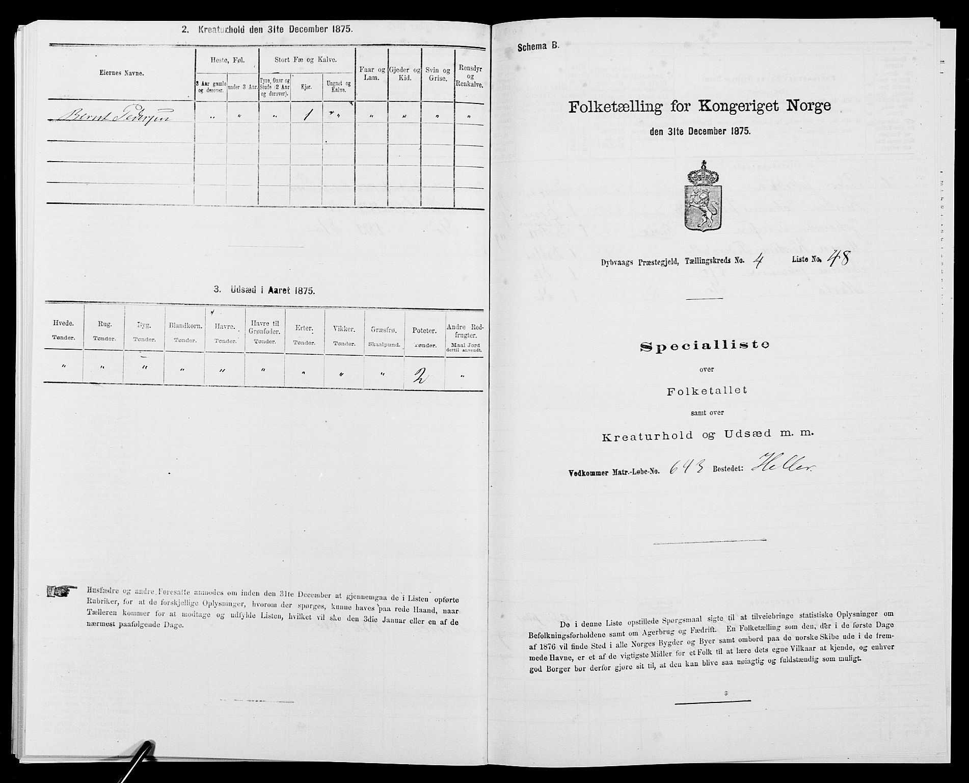 SAK, Folketelling 1875 for 0915P Dypvåg prestegjeld, 1875, s. 529