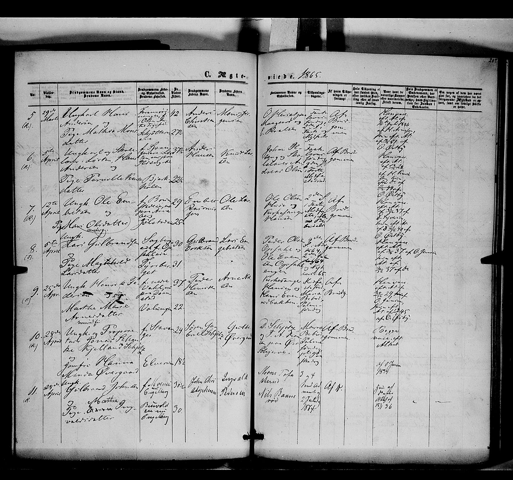 Romedal prestekontor, AV/SAH-PREST-004/K/L0005: Ministerialbok nr. 5, 1862-1874, s. 207