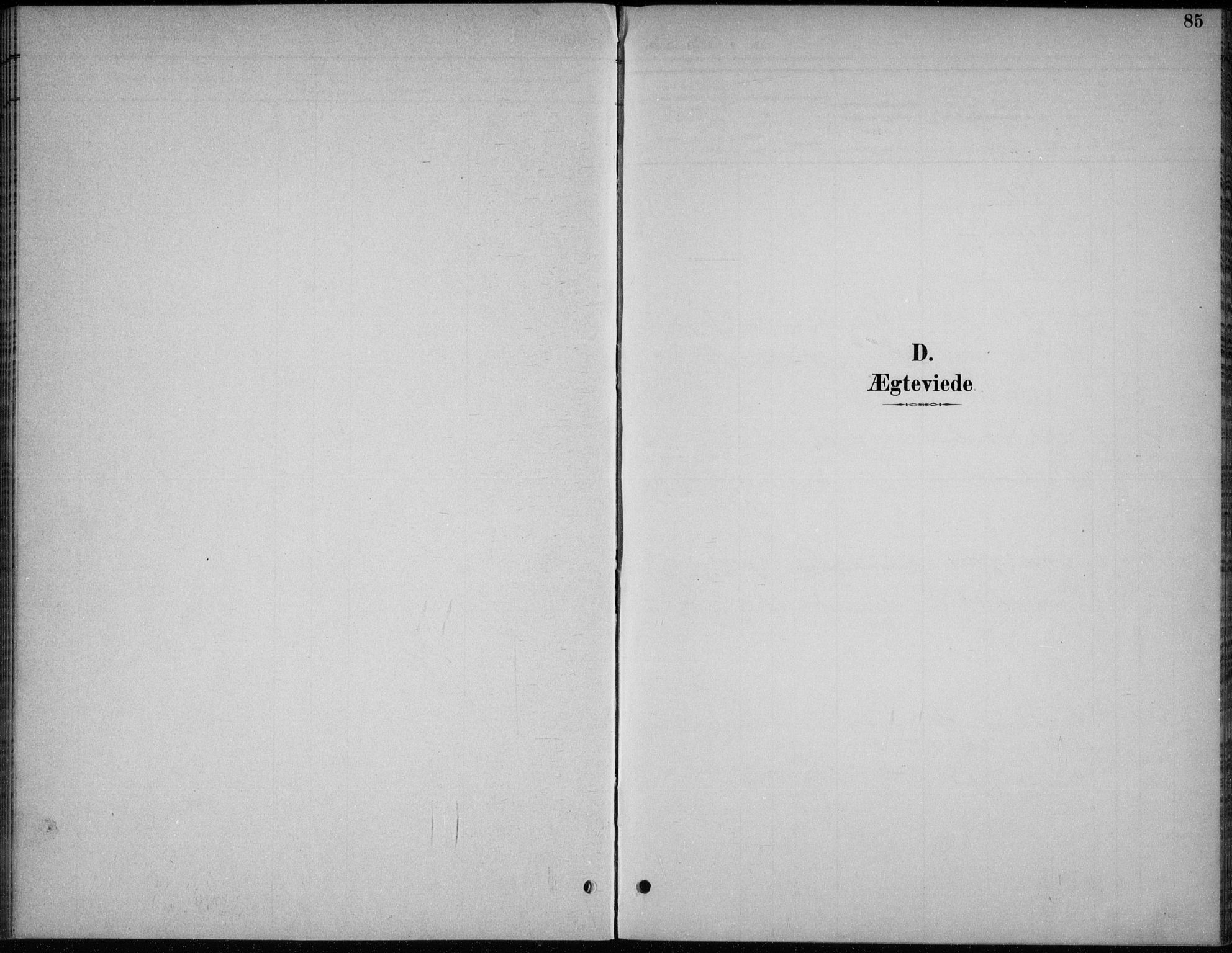 Åmli sokneprestkontor, SAK/1111-0050/F/Fb/Fba/L0002: Klokkerbok nr. B 2, 1890-1912, s. 85