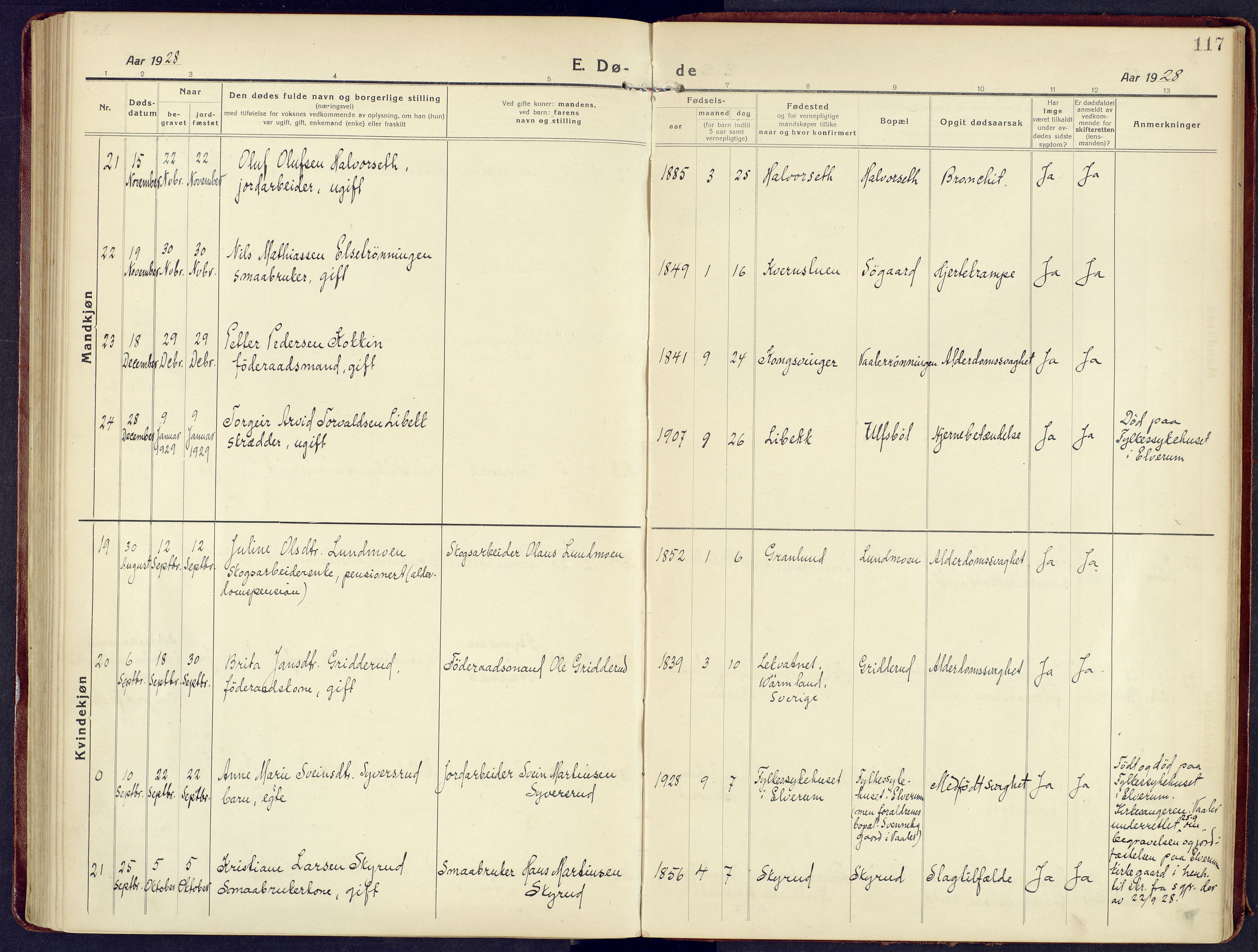 Våler prestekontor, Hedmark, AV/SAH-PREST-040/H/Ha/Haa/L0011: Ministerialbok nr. 11, 1919-1933, s. 117