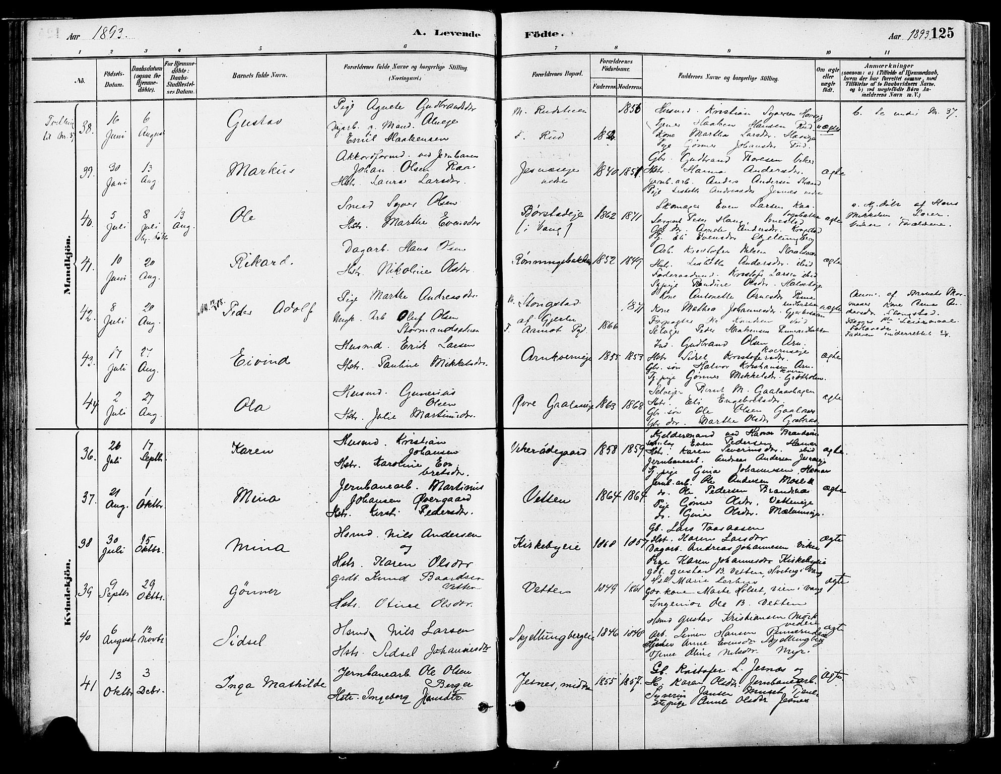 Vang prestekontor, Hedmark, AV/SAH-PREST-008/H/Ha/Haa/L0018A: Ministerialbok nr. 18A, 1880-1906, s. 125
