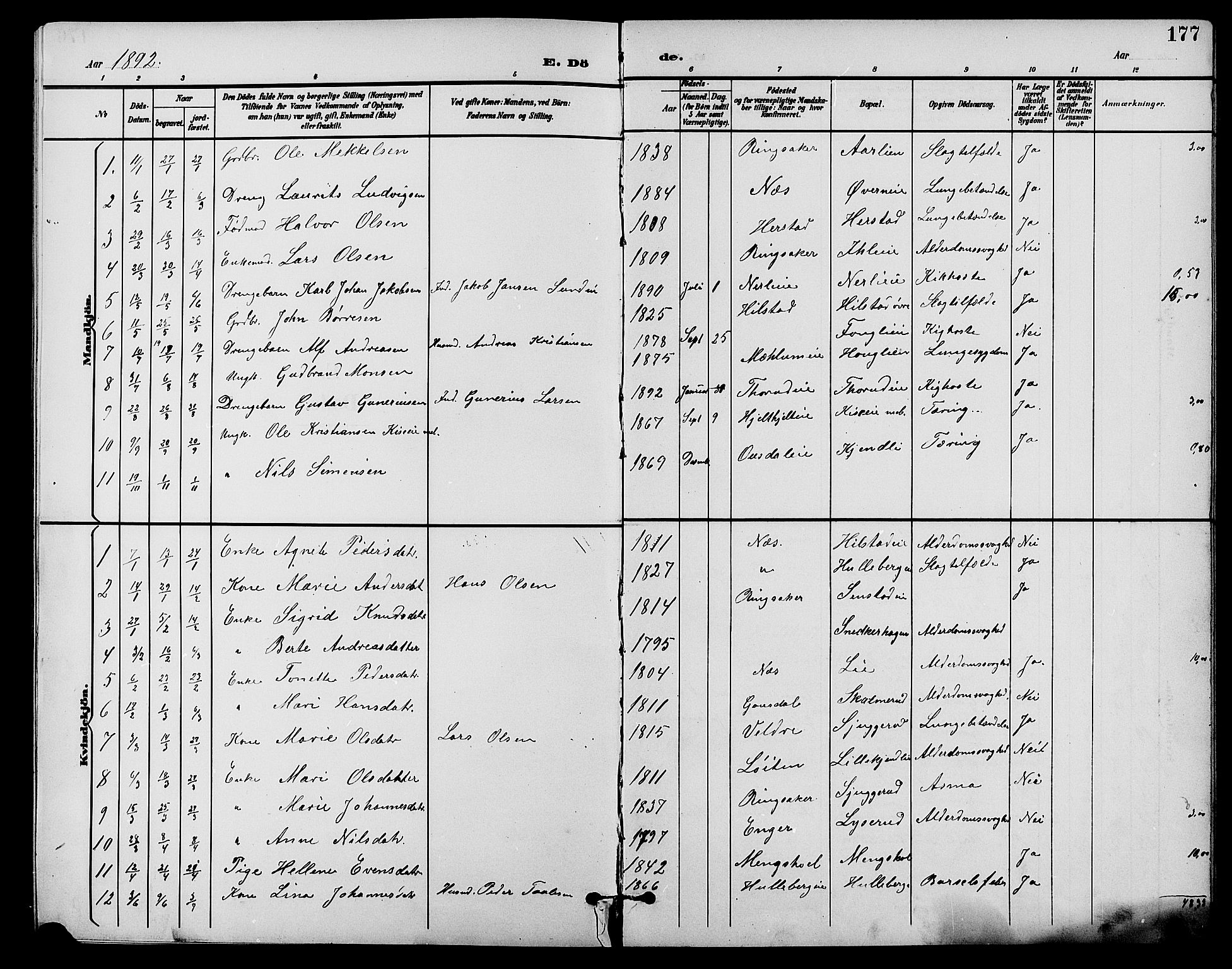 Nes prestekontor, Hedmark, AV/SAH-PREST-020/L/La/L0007: Klokkerbok nr. 7, 1892-1912, s. 177