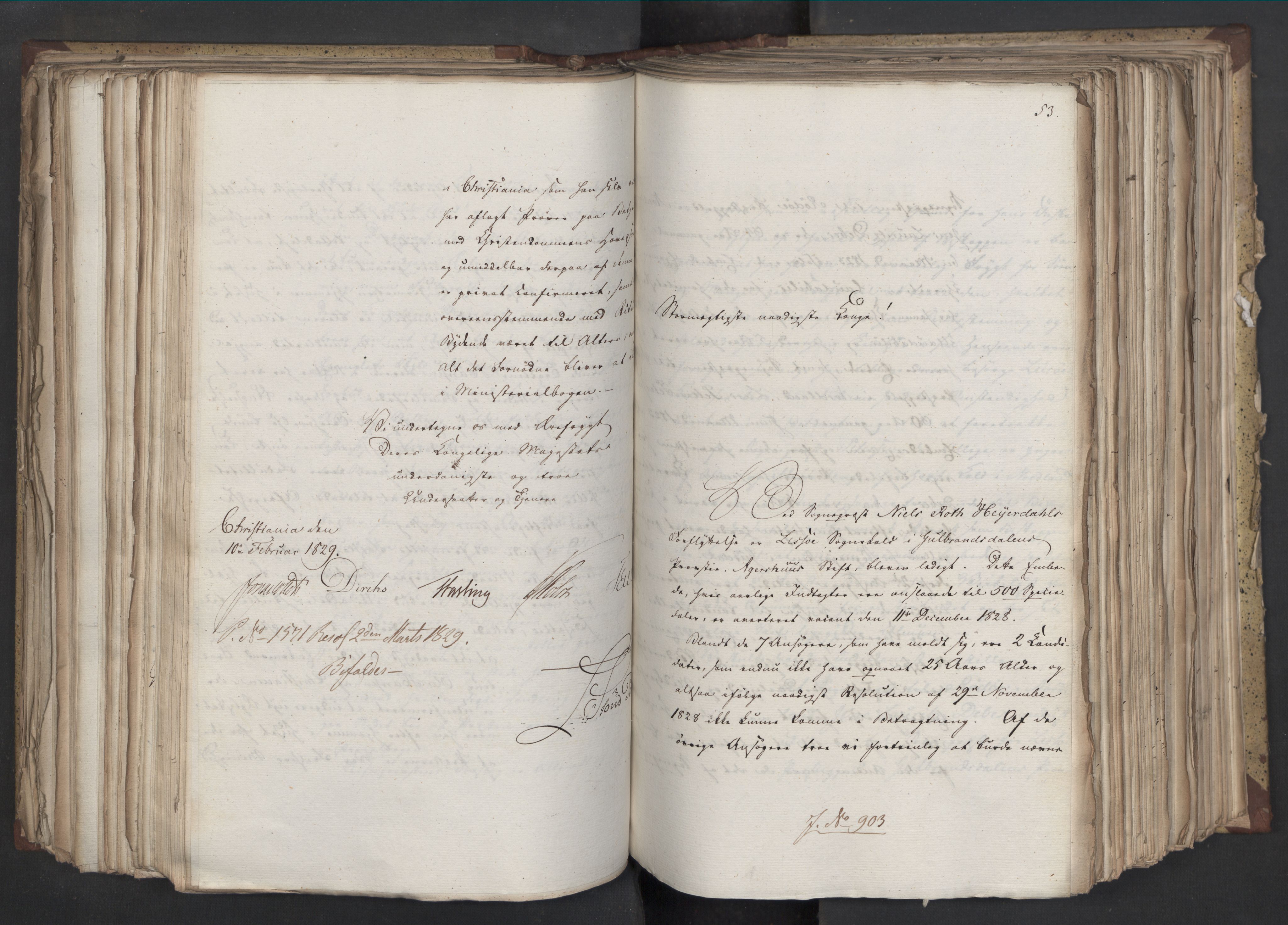 Statsrådsavdelingen i Stockholm, AV/RA-S-1003/D/Da/L0058: Regjeringsinnstillinger nr. 808-1073, 1829, s. 318