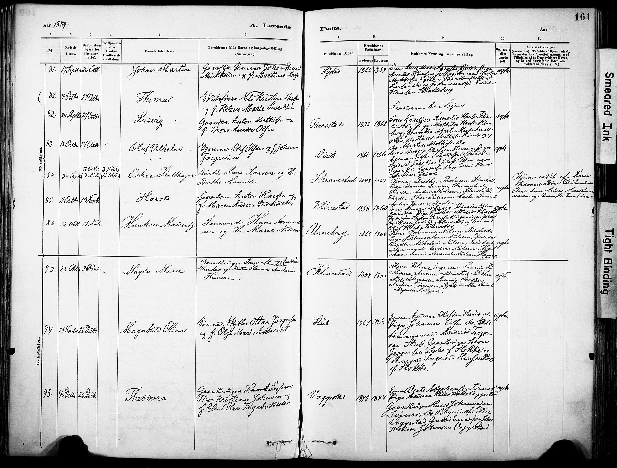 Sandar kirkebøker, AV/SAKO-A-243/F/Fa/L0012: Ministerialbok nr. 12, 1883-1895, s. 161