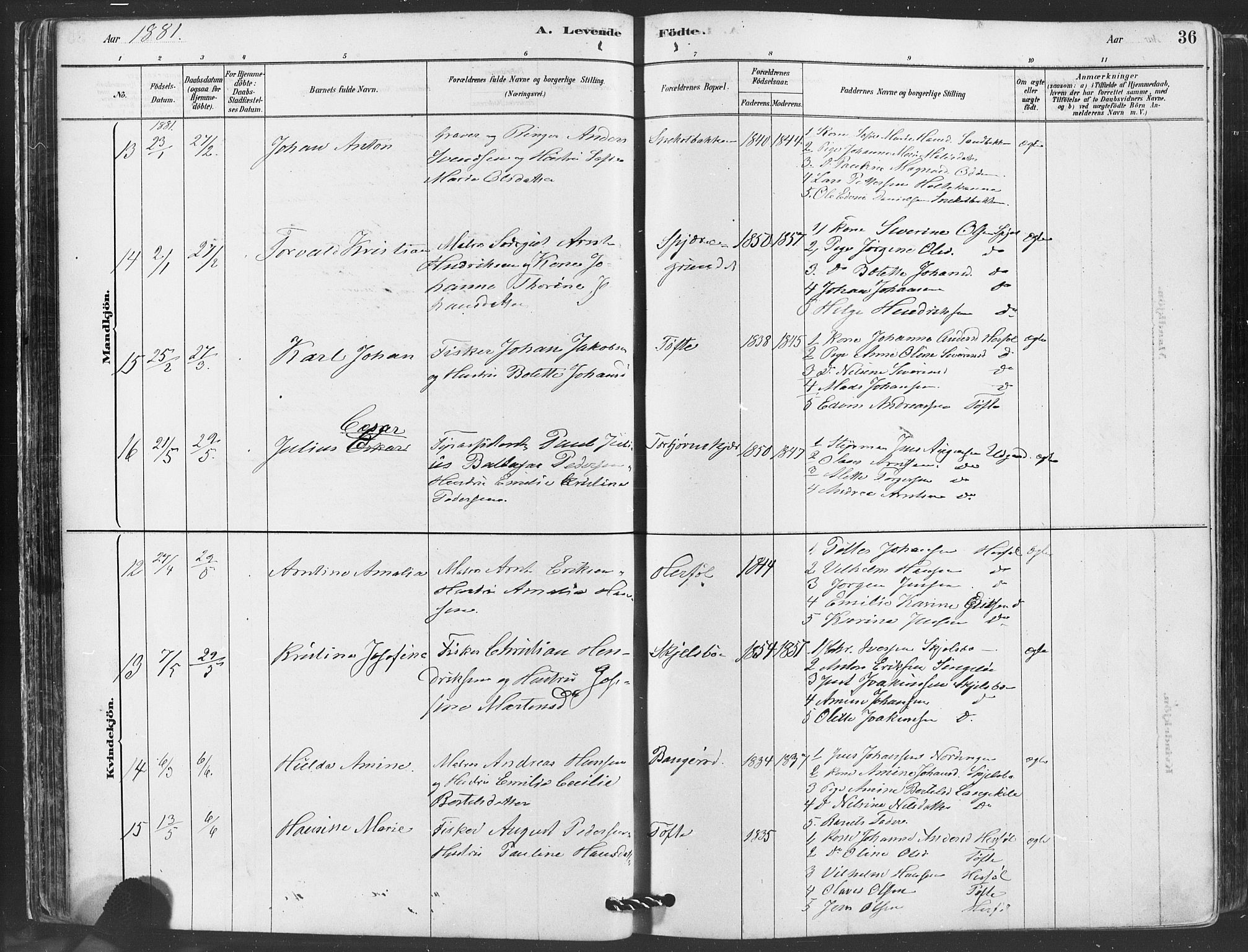 Hvaler prestekontor Kirkebøker, AV/SAO-A-2001/F/Fa/L0008: Ministerialbok nr. I 8, 1878-1895, s. 36