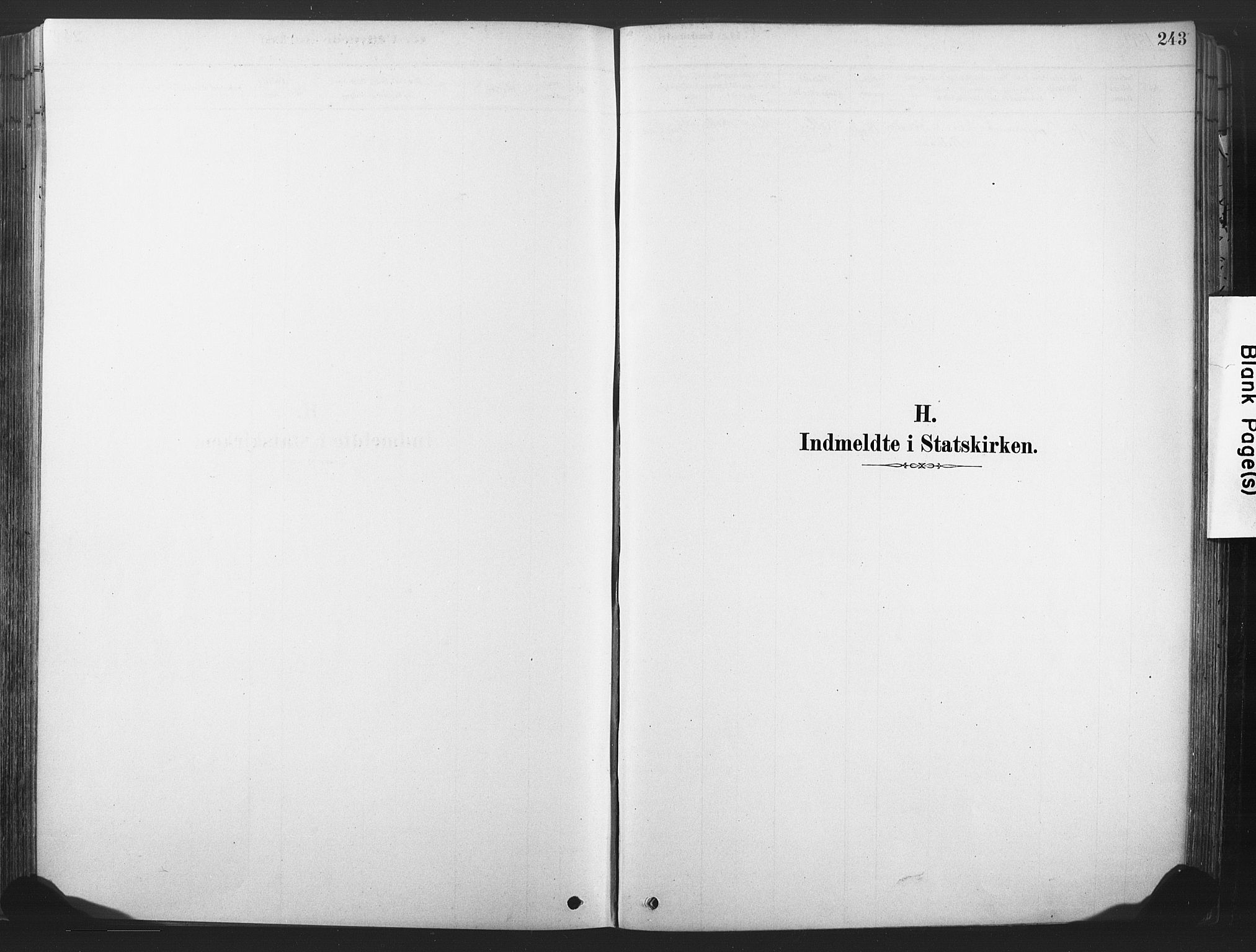 Rollag kirkebøker, AV/SAKO-A-240/F/Fa/L0011: Ministerialbok nr. I 11, 1878-1902, s. 243