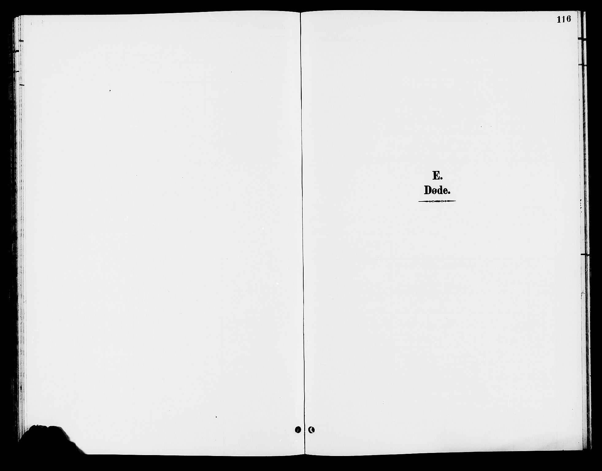 Elverum prestekontor, SAH/PREST-044/H/Ha/Hab/L0006: Klokkerbok nr. 6, 1896-1907, s. 116