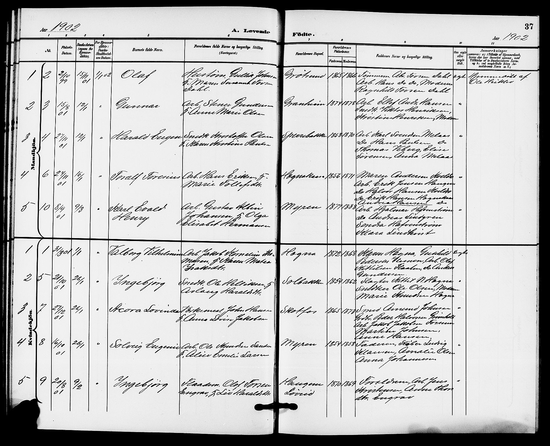 Solum kirkebøker, AV/SAKO-A-306/G/Gb/L0004: Klokkerbok nr. II 4, 1898-1905, s. 37
