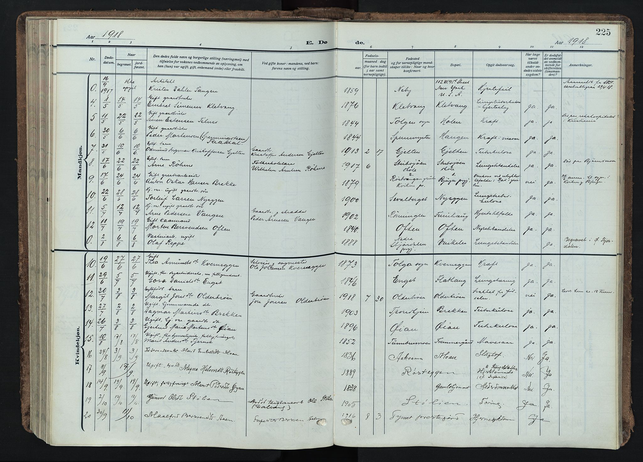 Tynset prestekontor, AV/SAH-PREST-058/H/Ha/Haa/L0026: Ministerialbok nr. 26, 1915-1929, s. 225