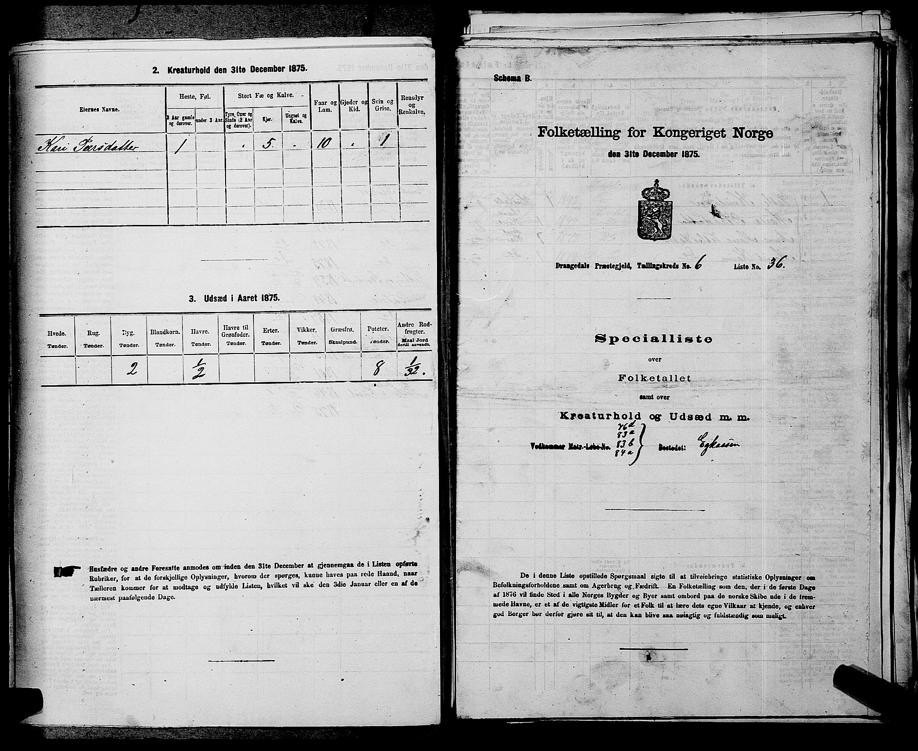 SAKO, Folketelling 1875 for 0817P Drangedal prestegjeld, 1875, s. 612