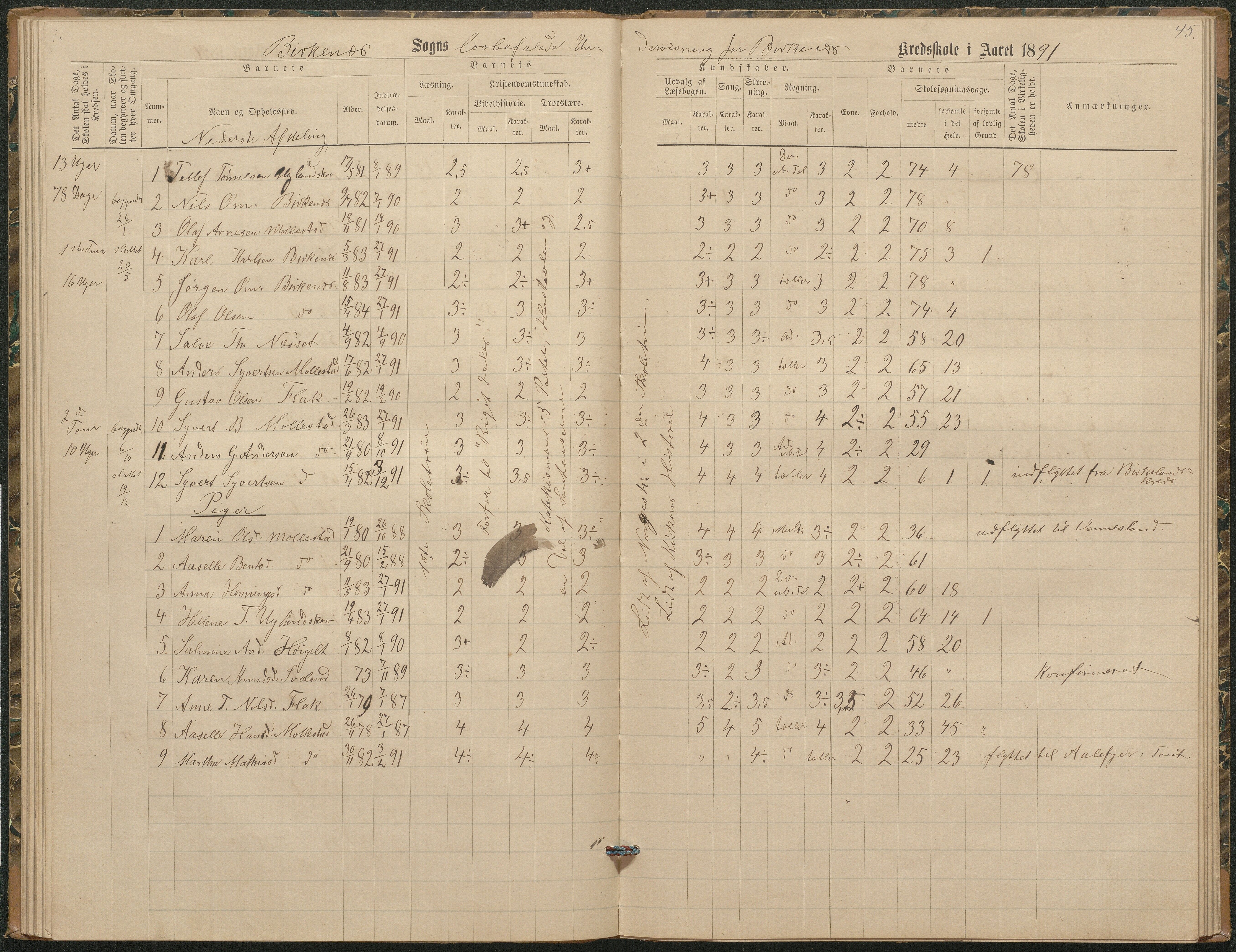 Birkenes kommune, Birkenes krets/Birkeland folkeskole frem til 1991, AAKS/KA0928-550a_91/F02/L0003: Skoleprotokoll, 1879-1891, s. 45