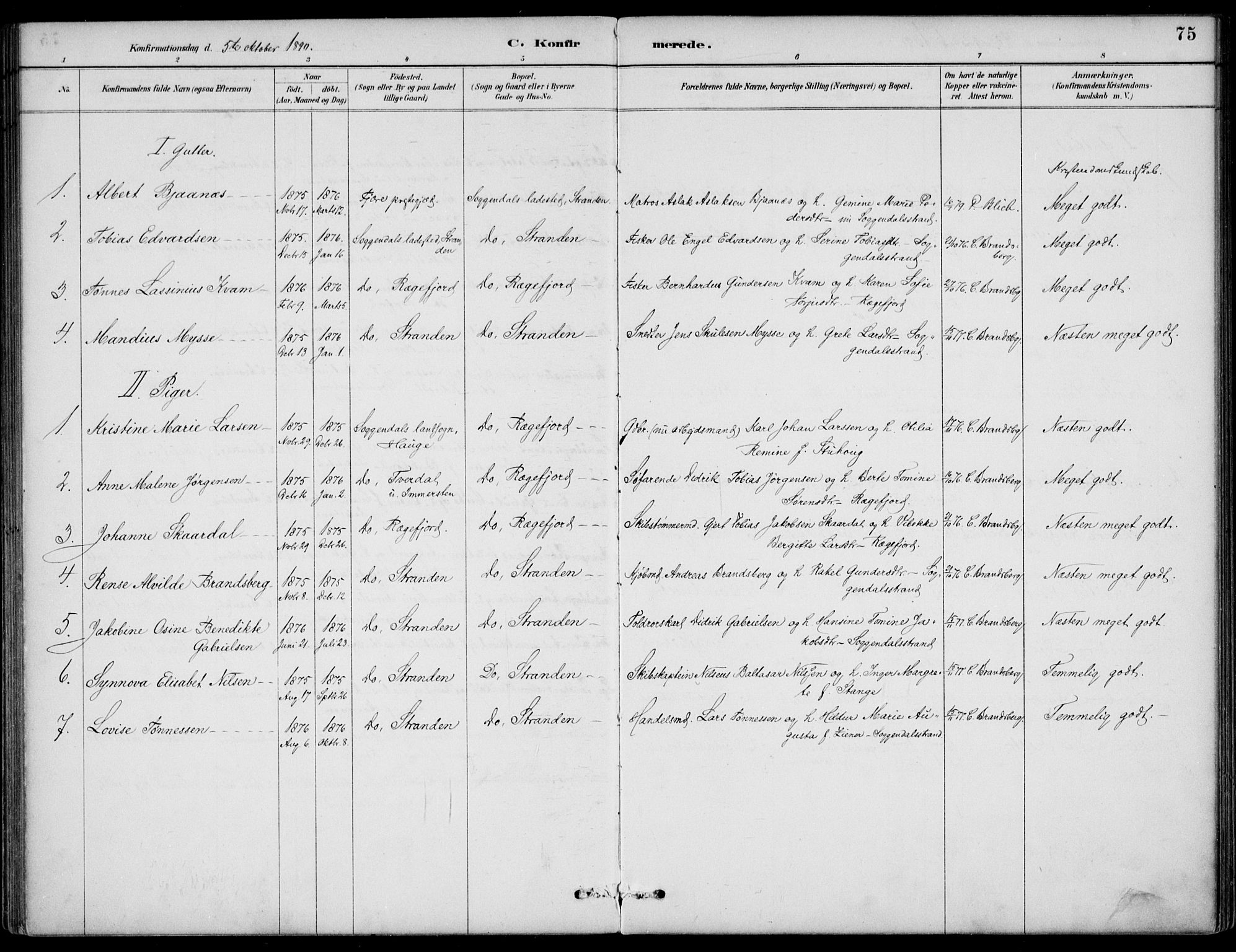 Sokndal sokneprestkontor, AV/SAST-A-101808: Ministerialbok nr. A 12, 1887-1927, s. 75