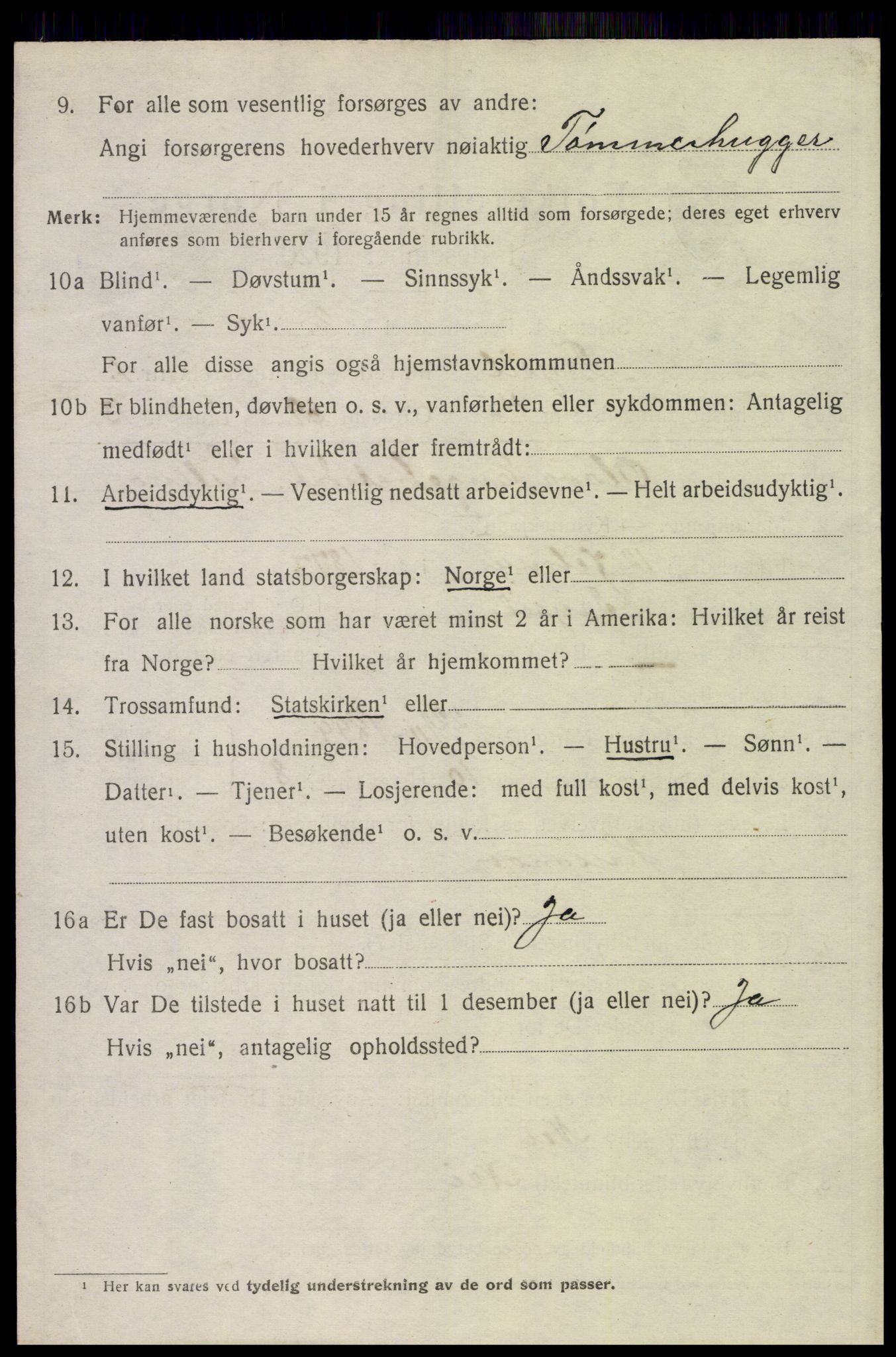 SAH, Folketelling 1920 for 0428 Trysil herred, 1920, s. 3060