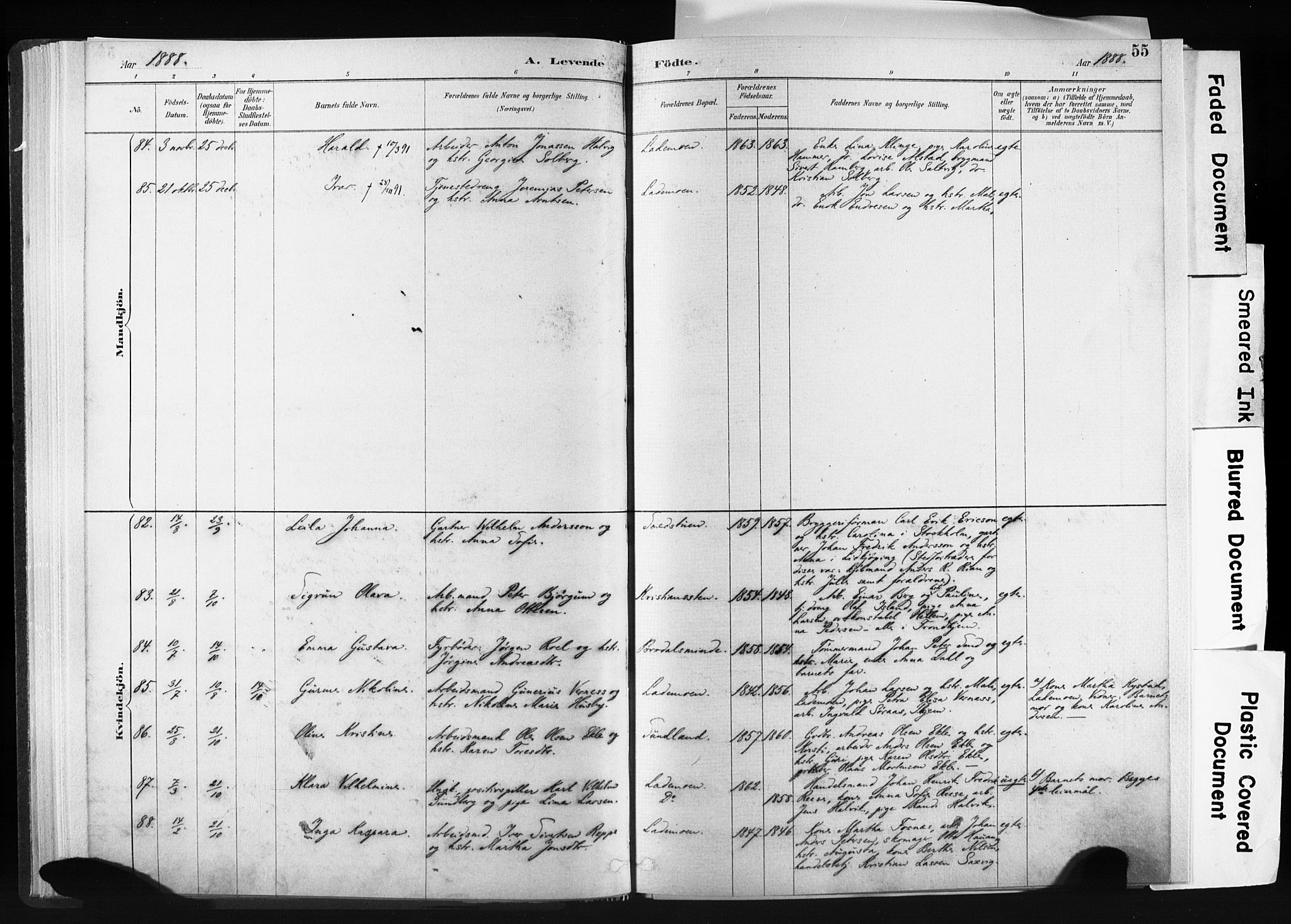 Ministerialprotokoller, klokkerbøker og fødselsregistre - Sør-Trøndelag, SAT/A-1456/606/L0300: Ministerialbok nr. 606A15, 1886-1893, s. 55