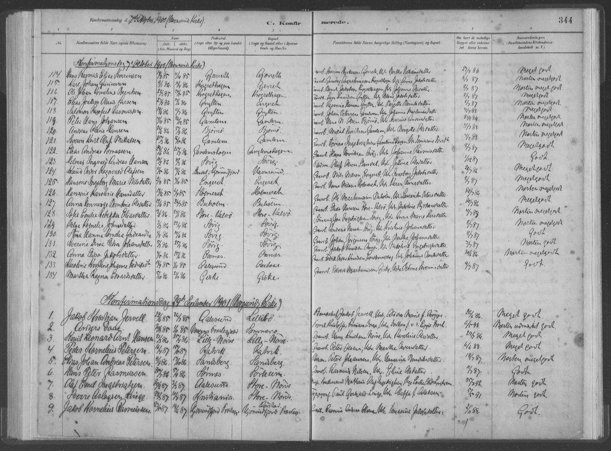 Ministerialprotokoller, klokkerbøker og fødselsregistre - Møre og Romsdal, SAT/A-1454/528/L0402: Ministerialbok nr. 528A12II, 1880-1903, s. 344