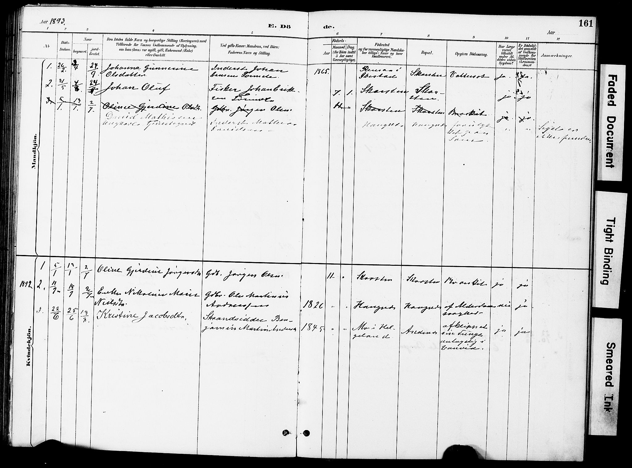 Ministerialprotokoller, klokkerbøker og fødselsregistre - Nordland, SAT/A-1459/899/L1448: Klokkerbok nr. 899C03, 1887-1902, s. 161