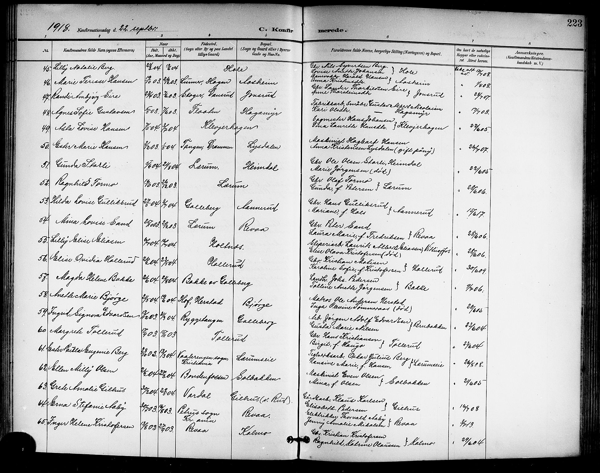 Sande Kirkebøker, AV/SAKO-A-53/G/Ga/L0004: Klokkerbok nr. 4, 1895-1918, s. 223