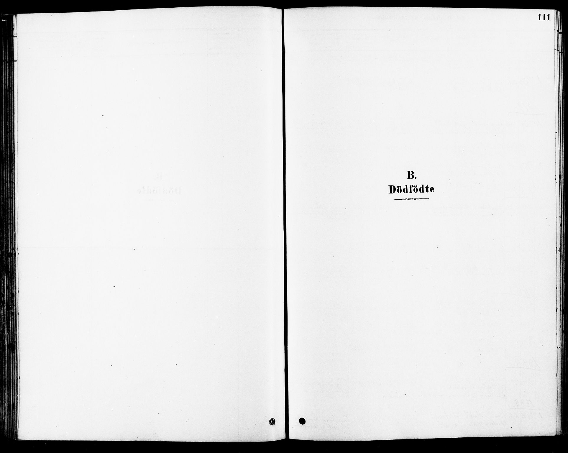 Fet prestekontor Kirkebøker, SAO/A-10370a/F/Fa/L0014: Ministerialbok nr. I 14, 1878-1891, s. 111