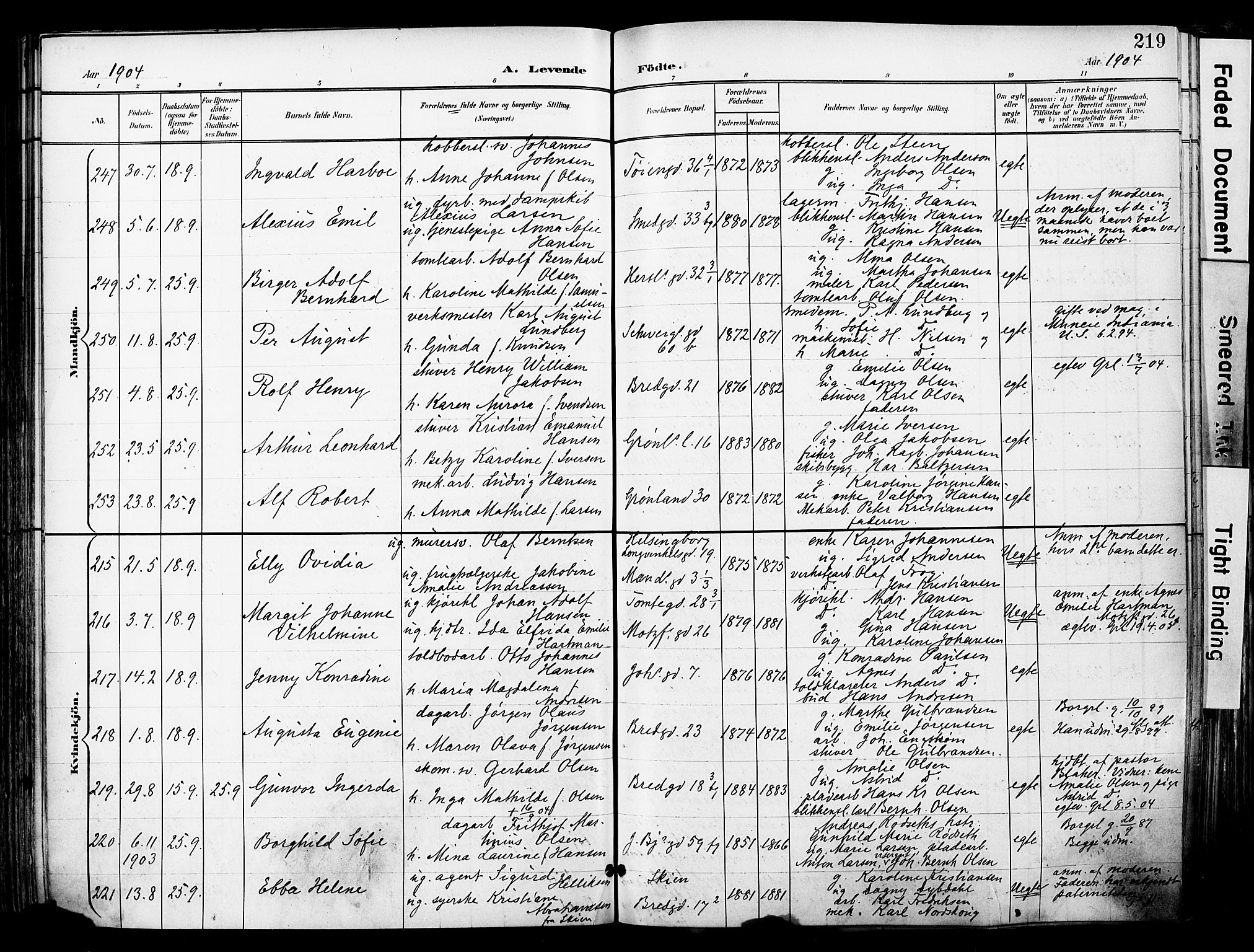 Grønland prestekontor Kirkebøker, AV/SAO-A-10848/F/Fa/L0014: Ministerialbok nr. 14, 1900-1911, s. 219