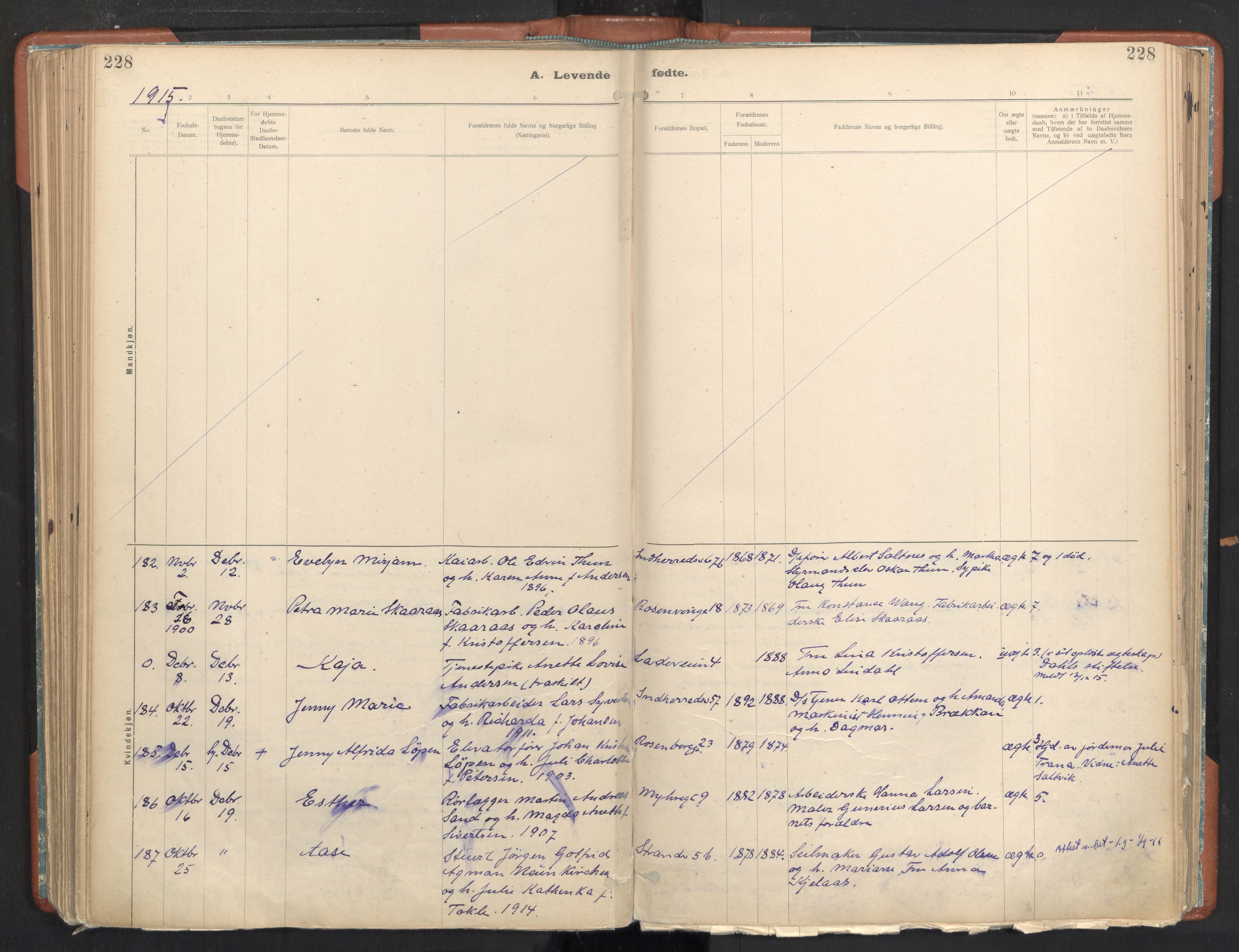 Ministerialprotokoller, klokkerbøker og fødselsregistre - Sør-Trøndelag, AV/SAT-A-1456/605/L0243: Ministerialbok nr. 605A05, 1908-1923, s. 228