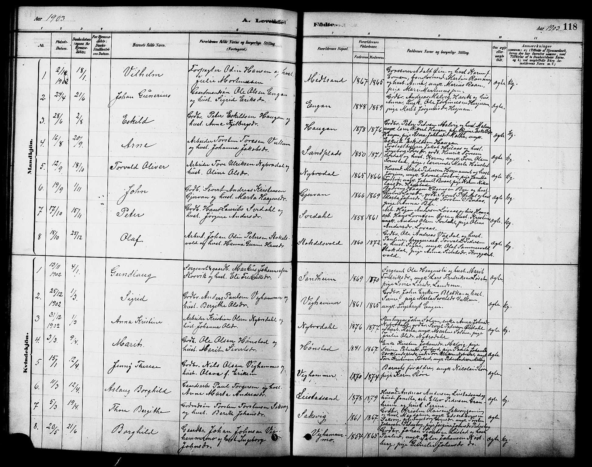 Ministerialprotokoller, klokkerbøker og fødselsregistre - Sør-Trøndelag, AV/SAT-A-1456/616/L0423: Klokkerbok nr. 616C06, 1878-1903, s. 118