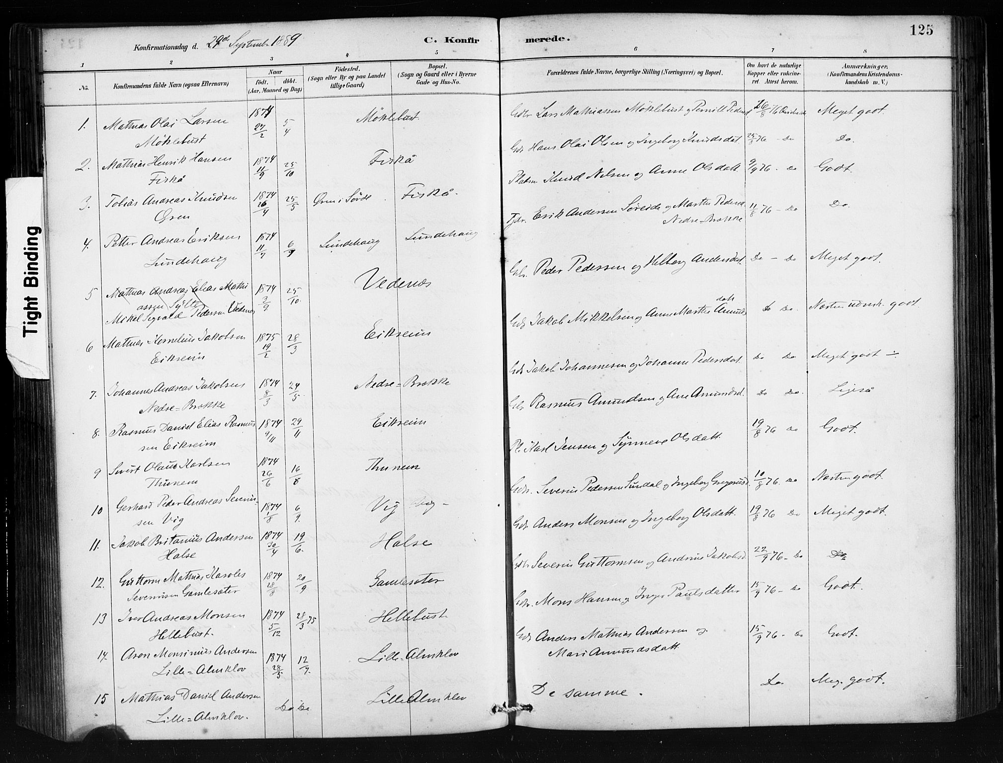 Ministerialprotokoller, klokkerbøker og fødselsregistre - Møre og Romsdal, SAT/A-1454/501/L0008: Ministerialbok nr. 501A08, 1885-1901, s. 125