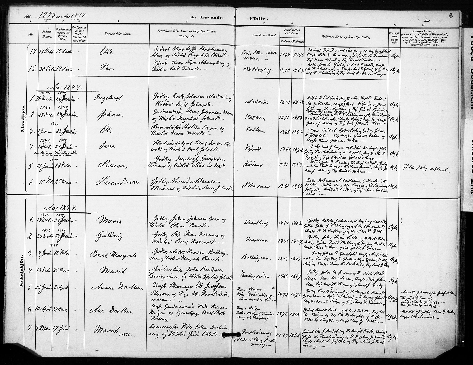 Ministerialprotokoller, klokkerbøker og fødselsregistre - Sør-Trøndelag, SAT/A-1456/685/L0973: Ministerialbok nr. 685A10, 1891-1907, s. 6